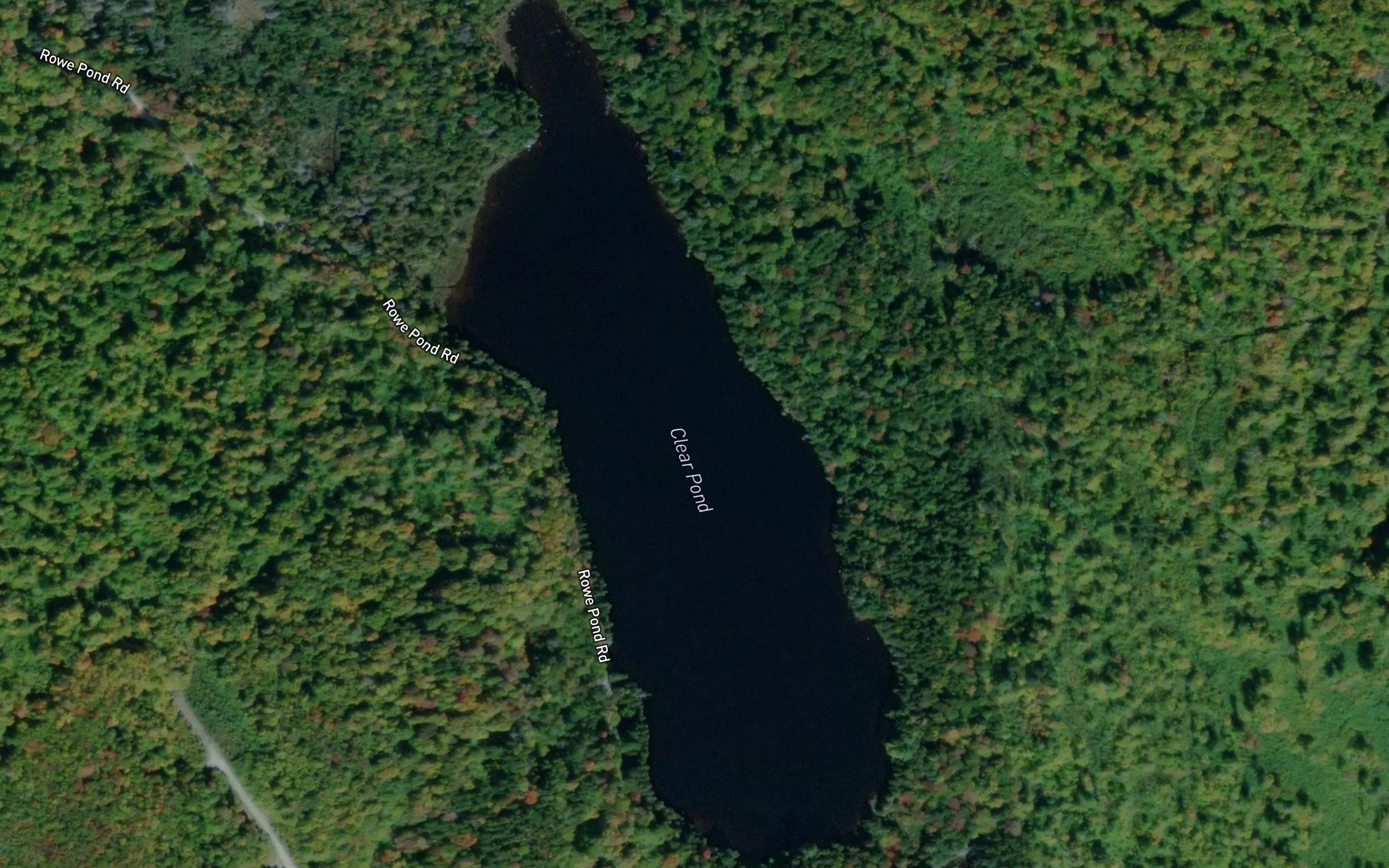Clear Pond