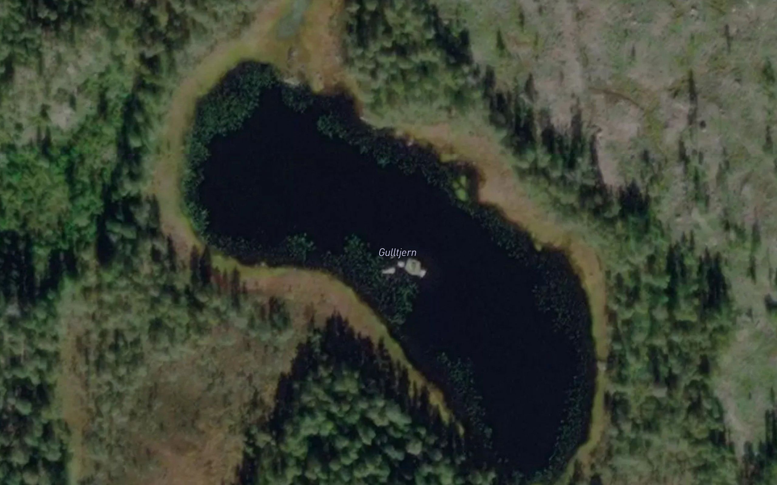 Gulltjern