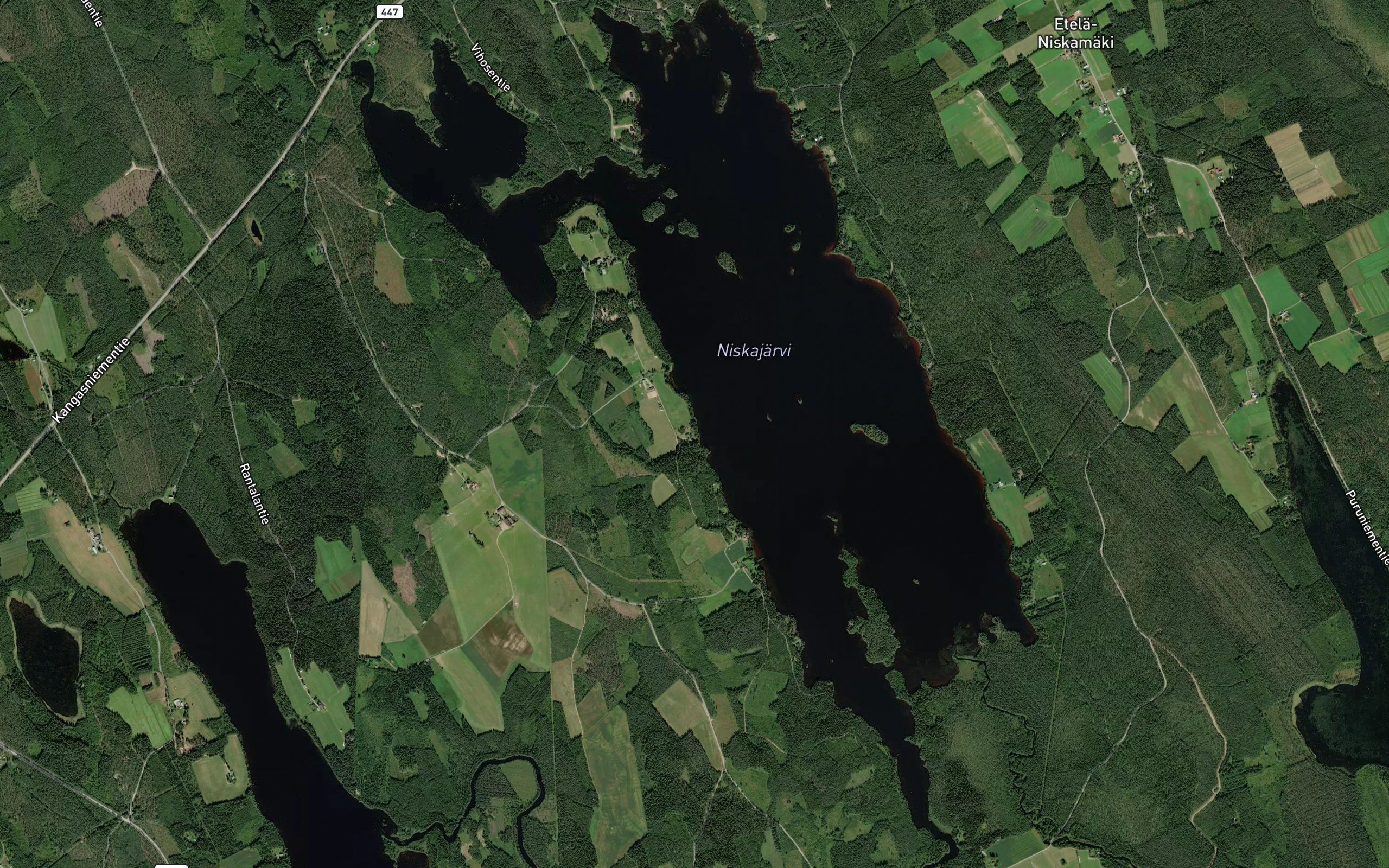 Niskajarvi