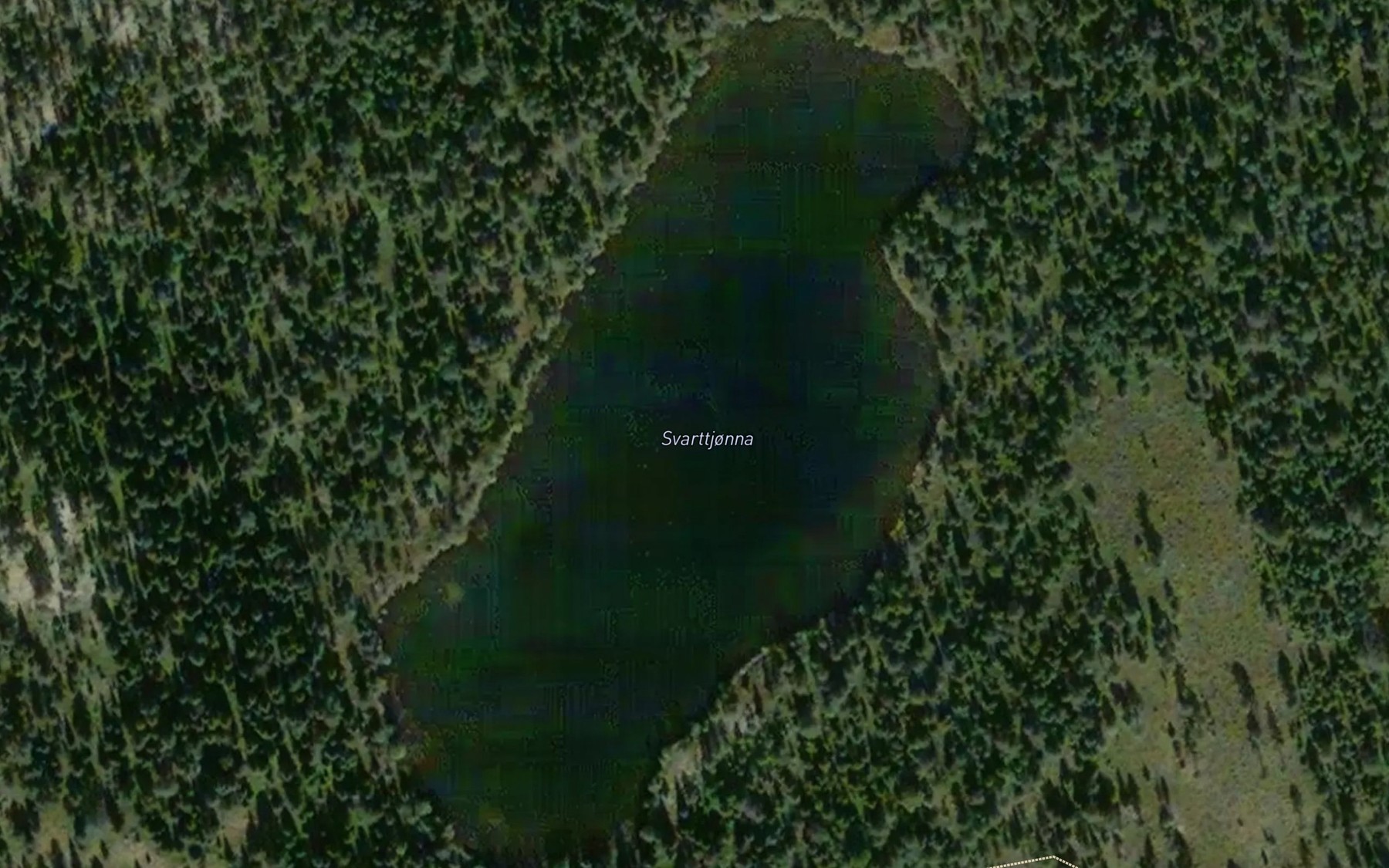 Satellite map of the Svarttjorna