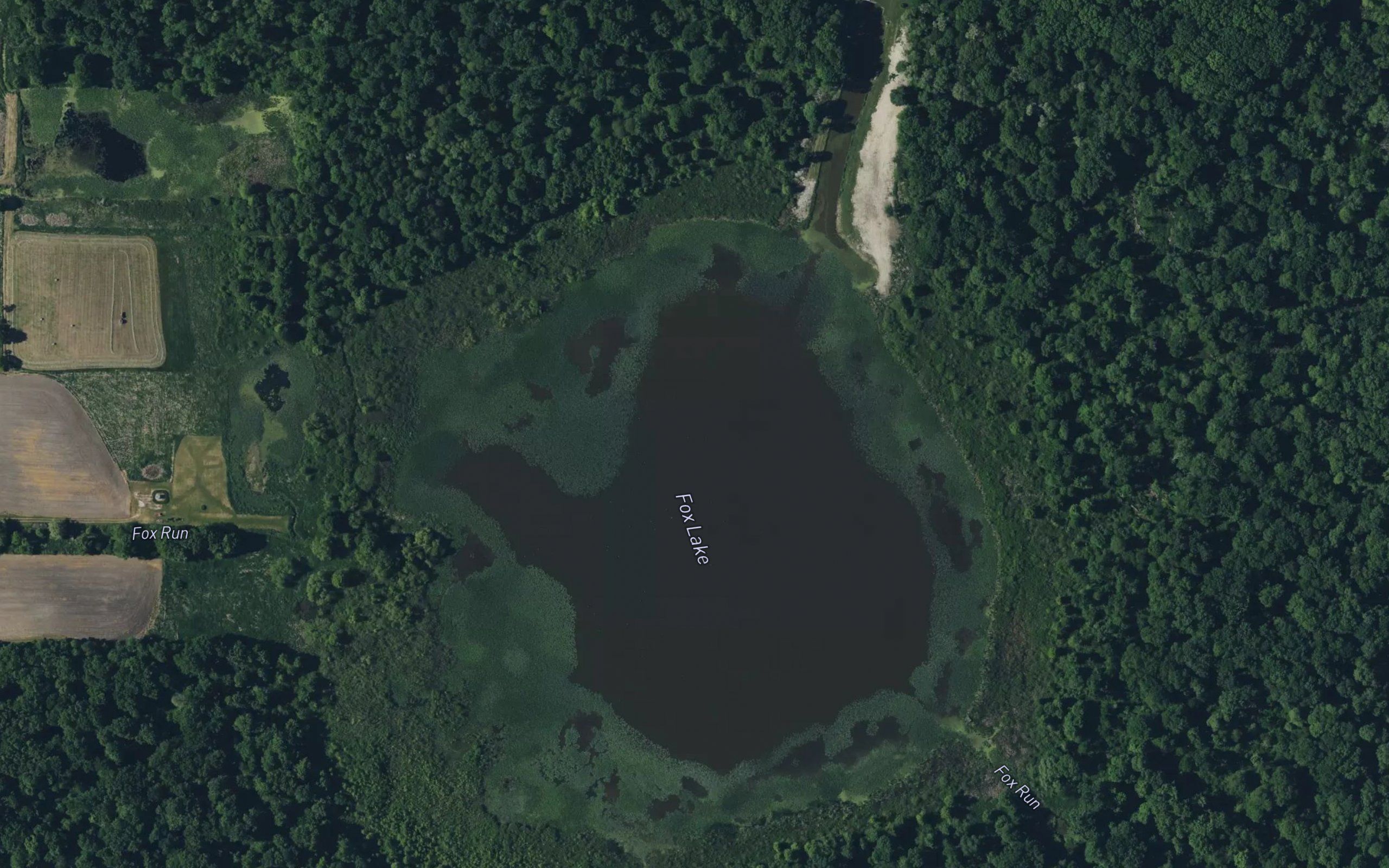 Fox Lake