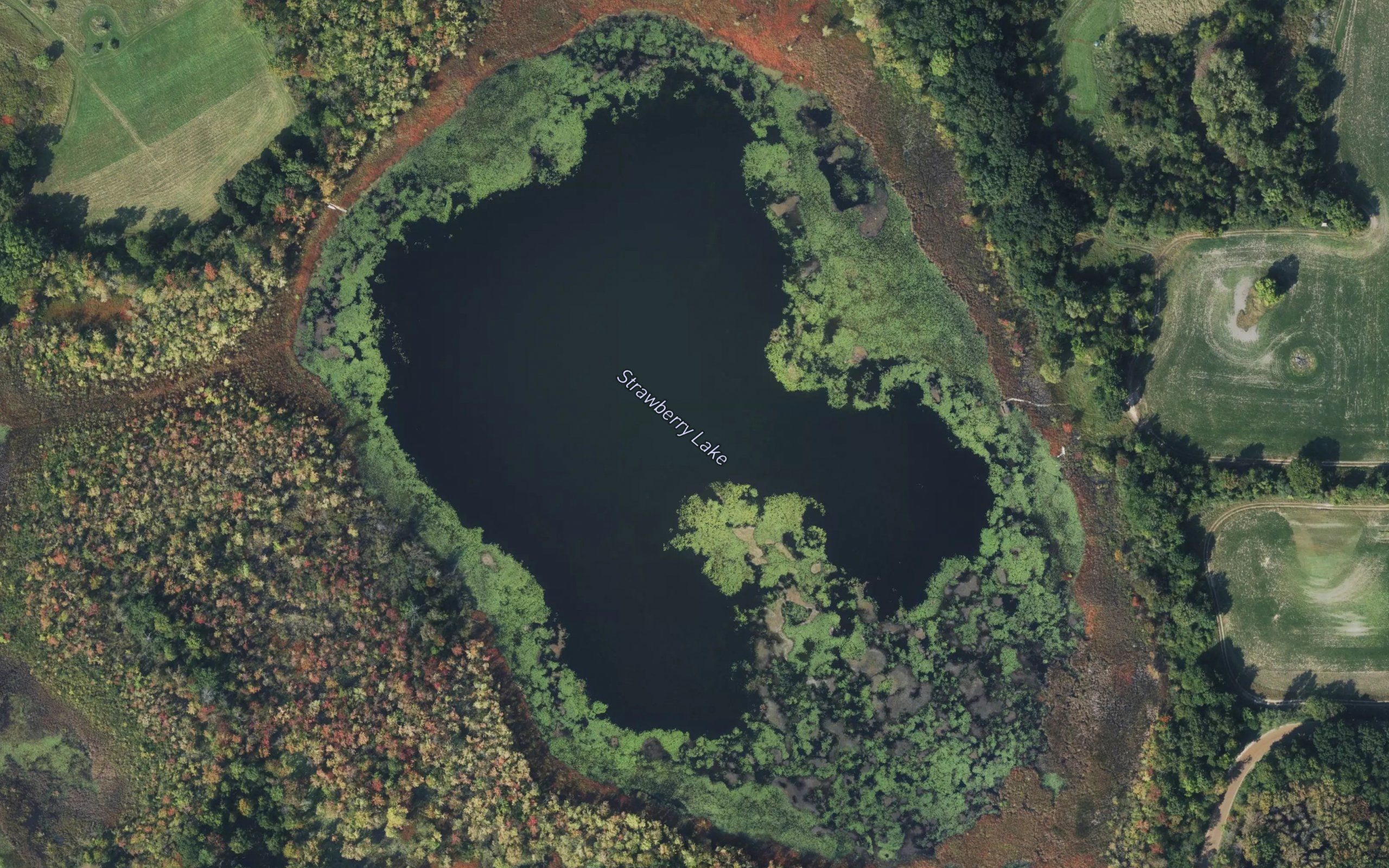 Strawberry Lake
