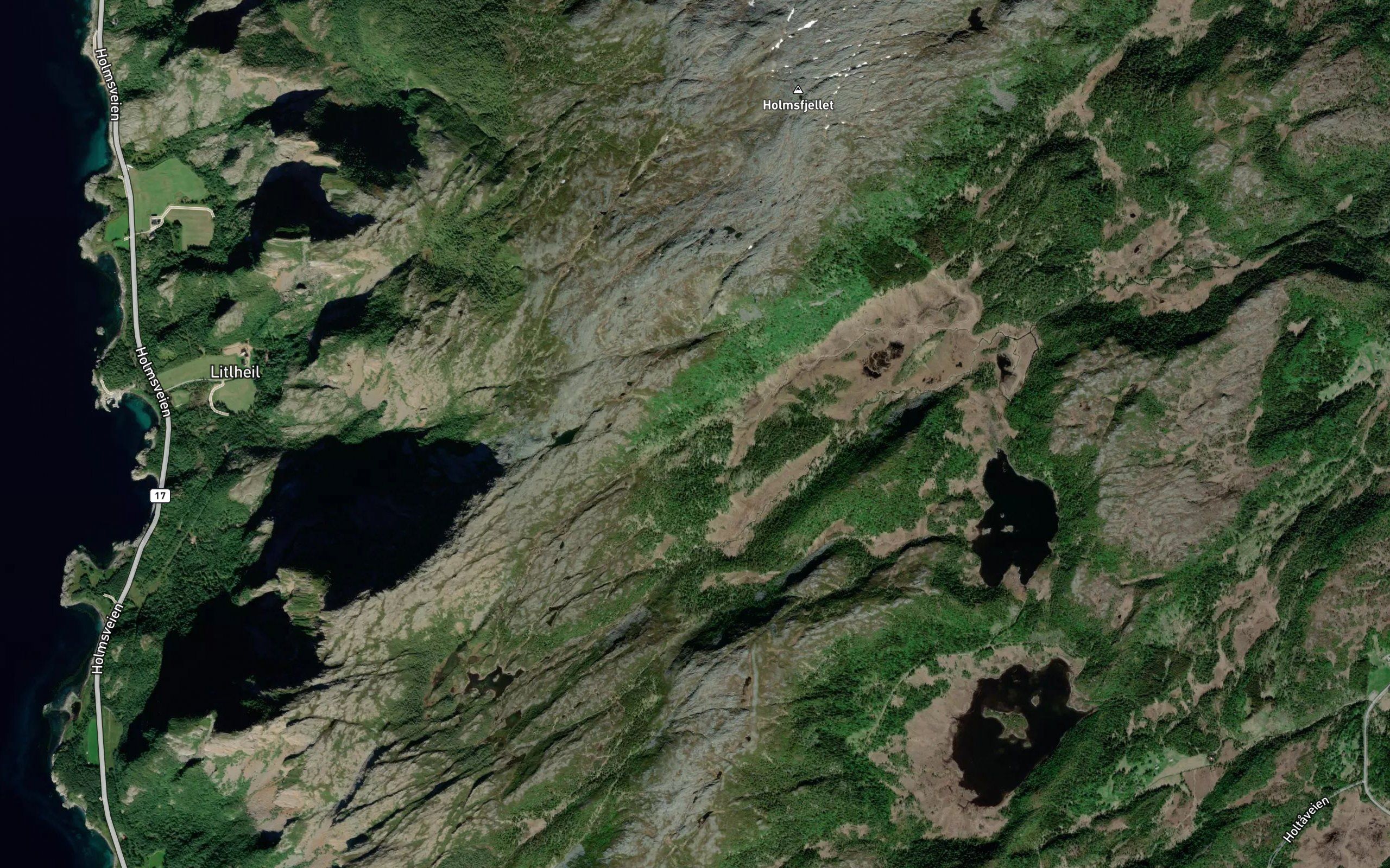 Dyrgrova