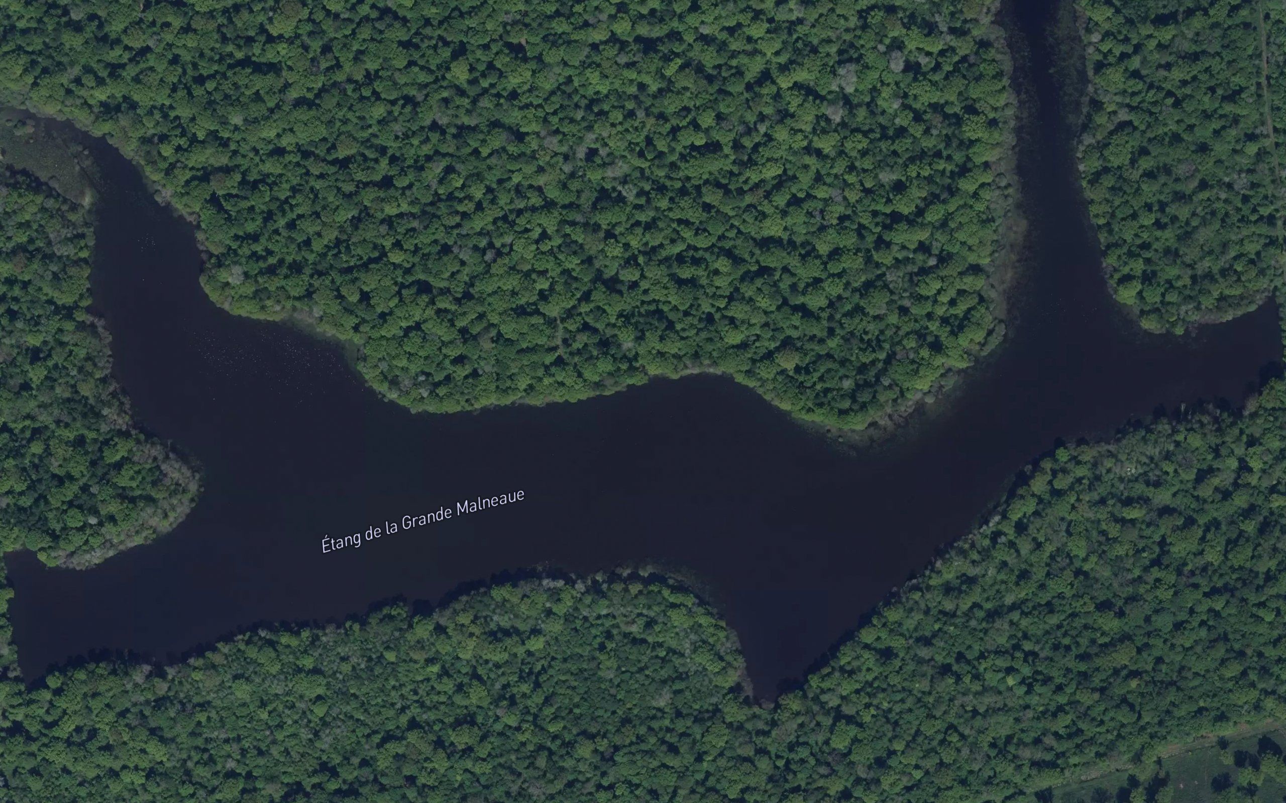 Etang de la Grande Malneau