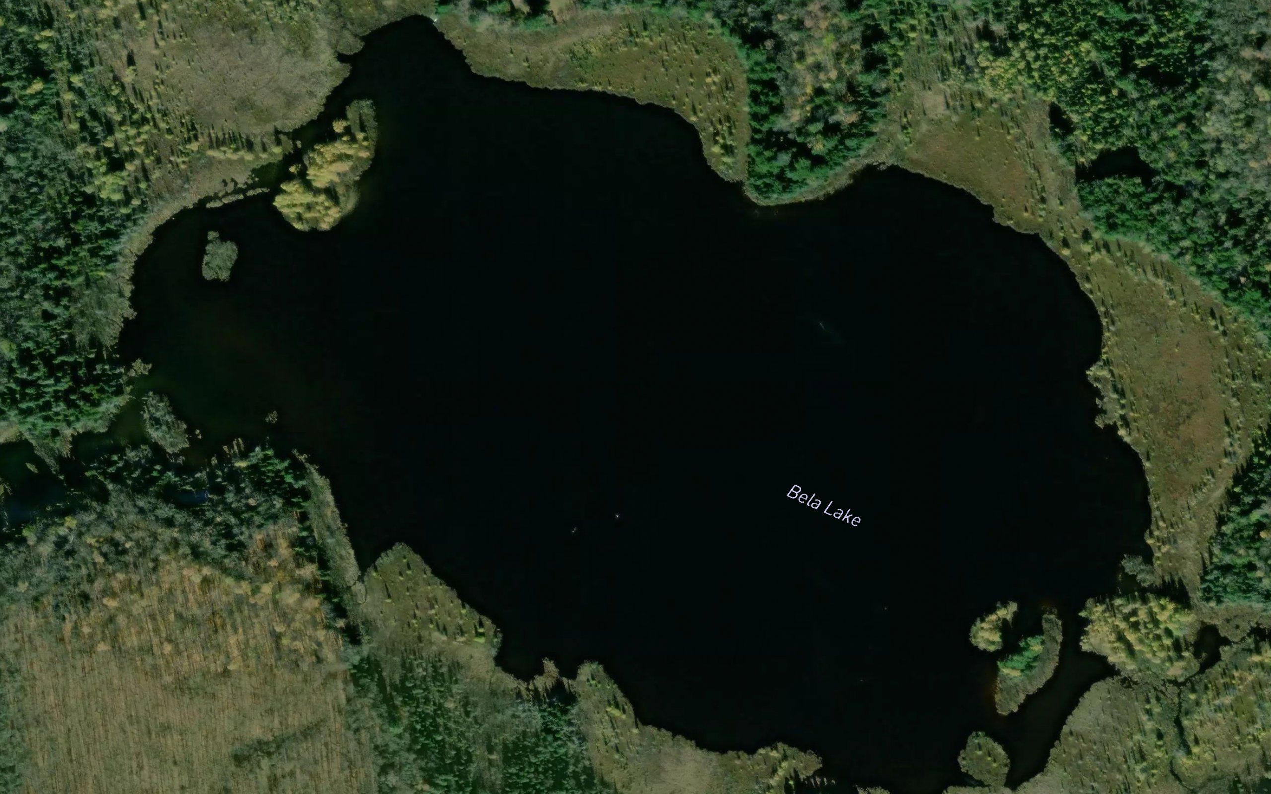 Bela Lake