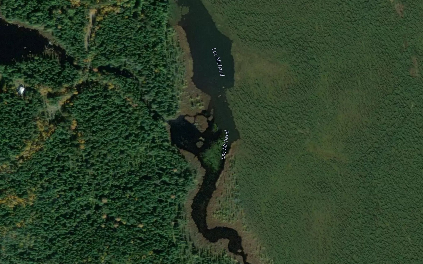 Satellite map of the Lac Michaud