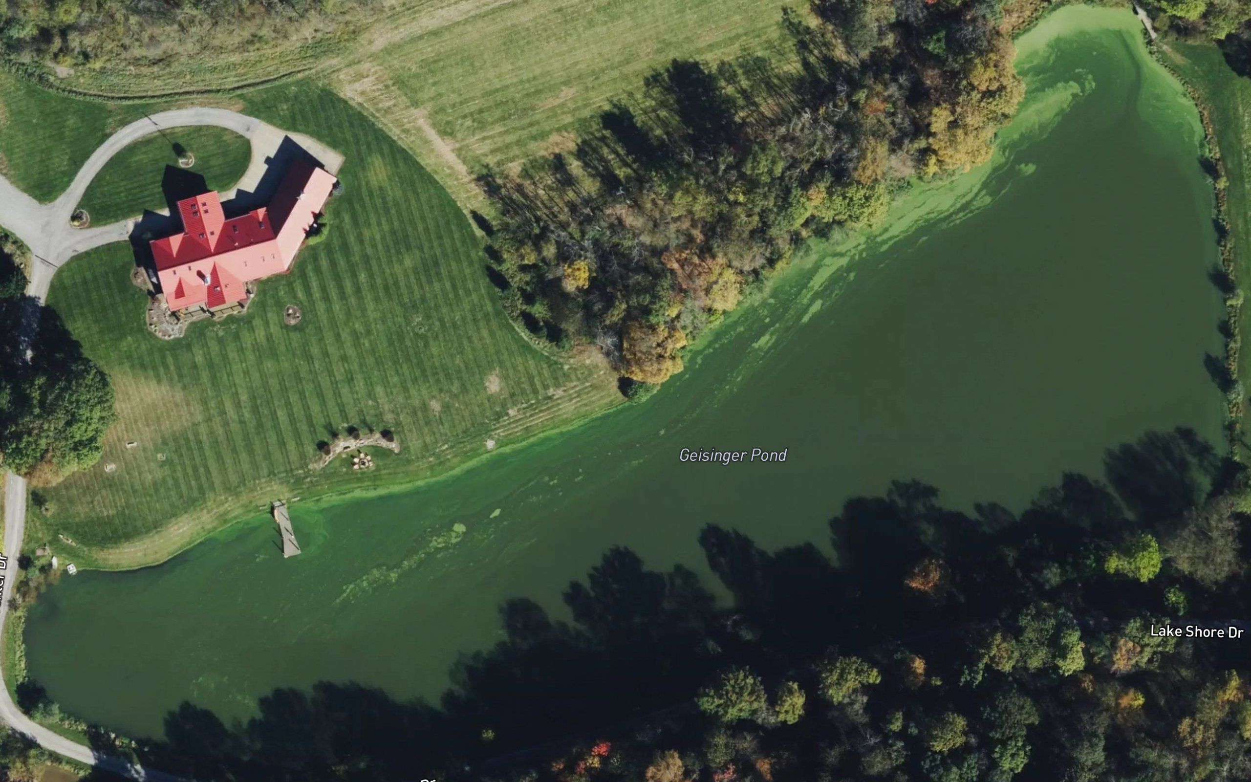 Greisinger Pond
