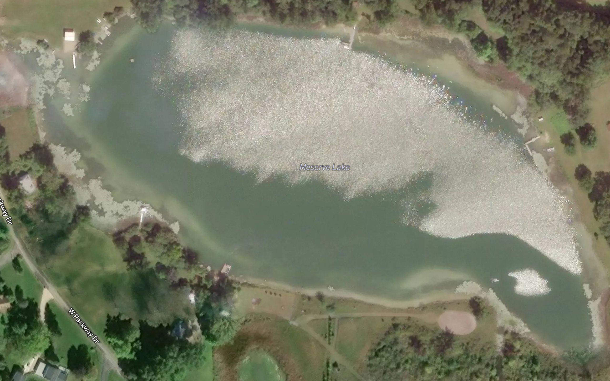 Meserve Lake