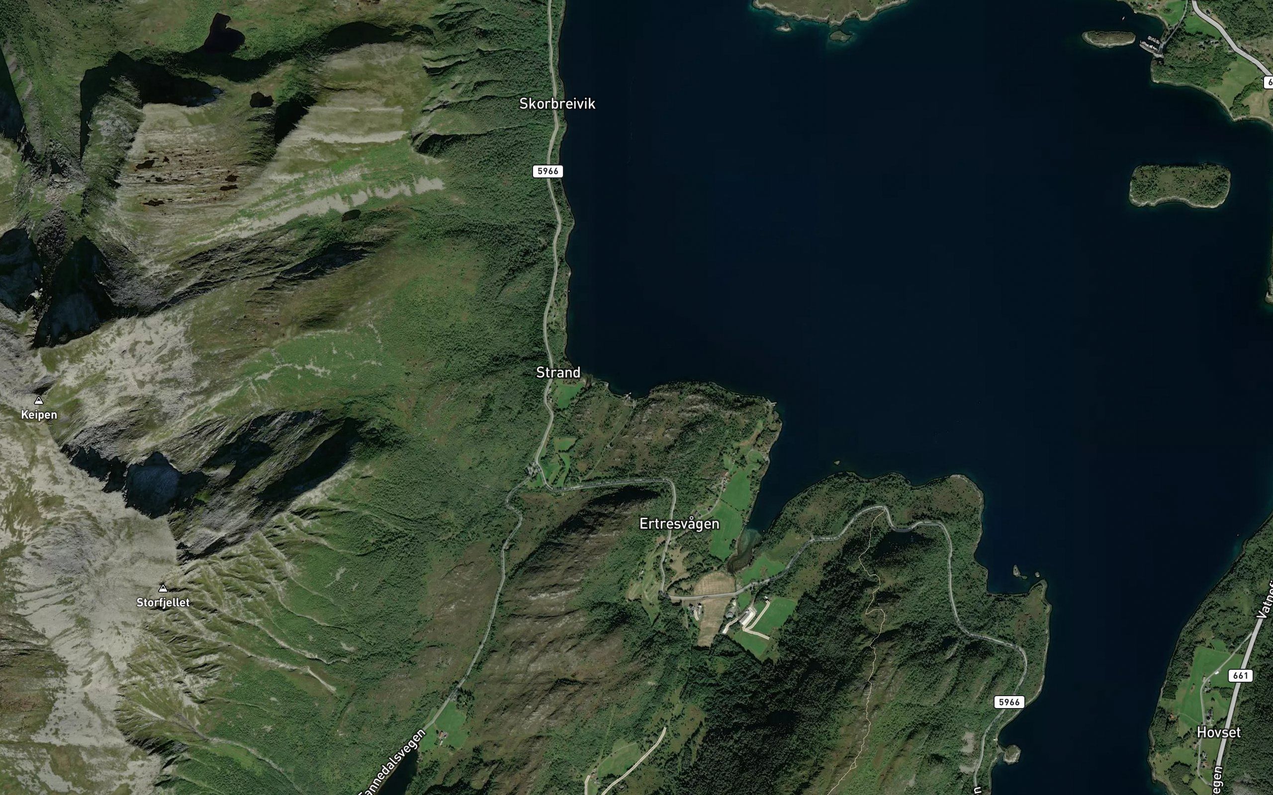 Fannevika