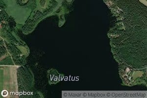 Valvatus