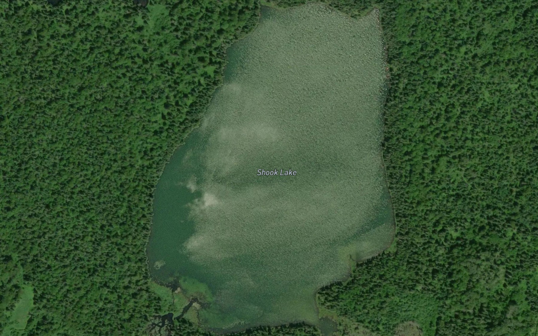 Satellite map of the Shook Lake