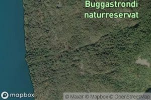 Batnesgrovi