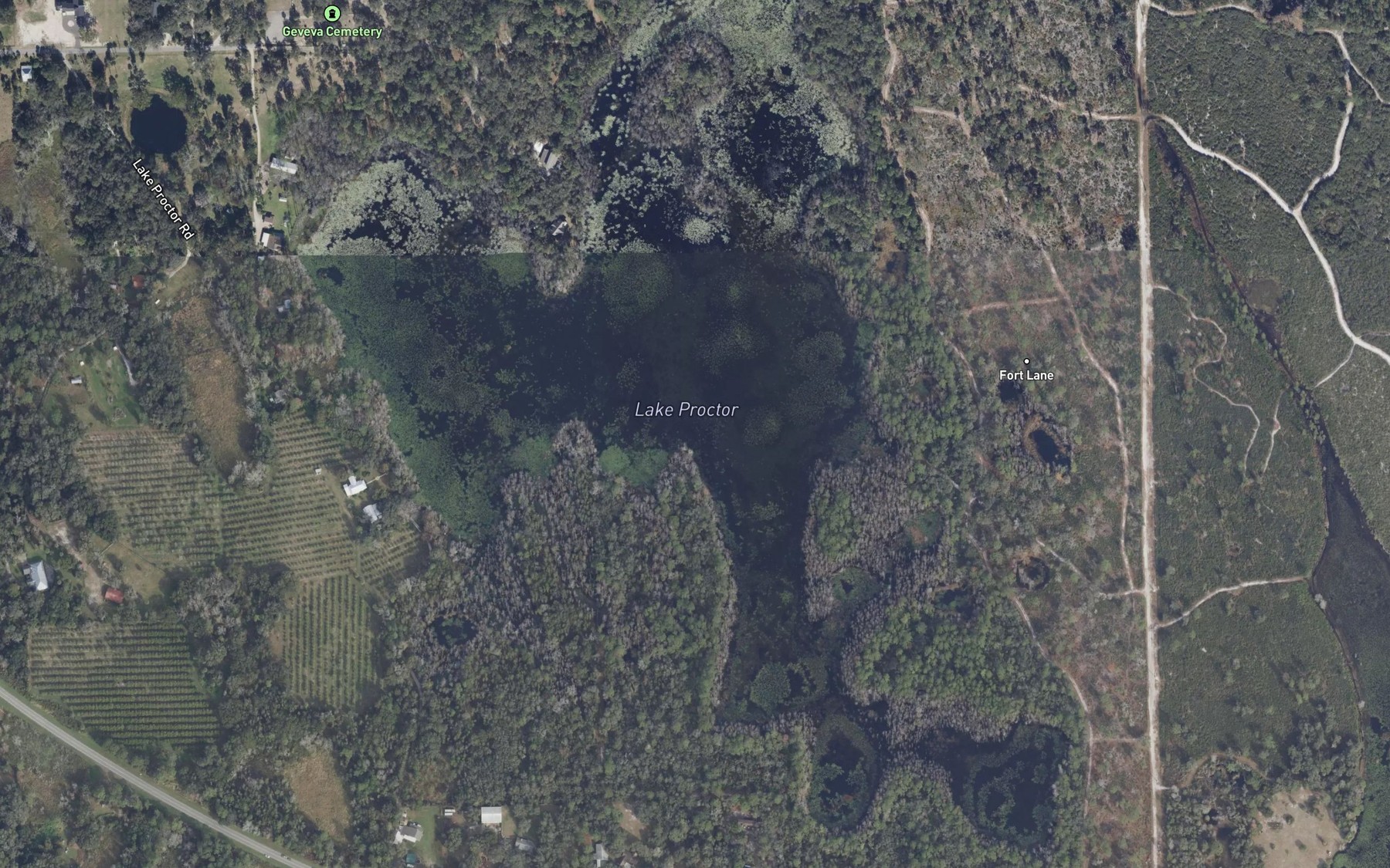 Satellite map of the Lake Proctor
