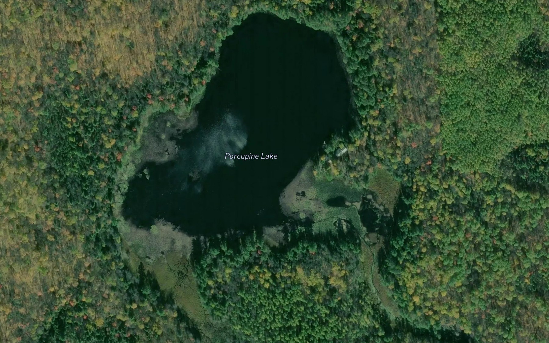 Satellite map of the Porcupine Lake