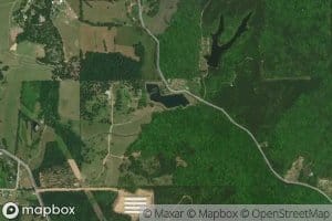 Nickolson Branch