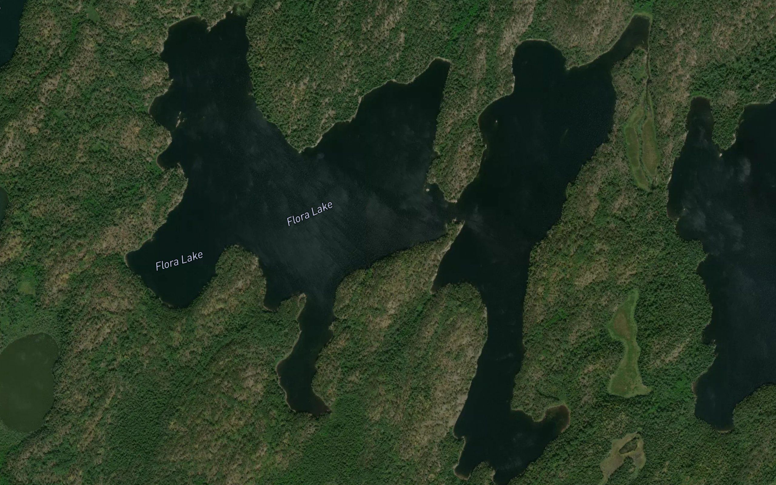 Flora Lake