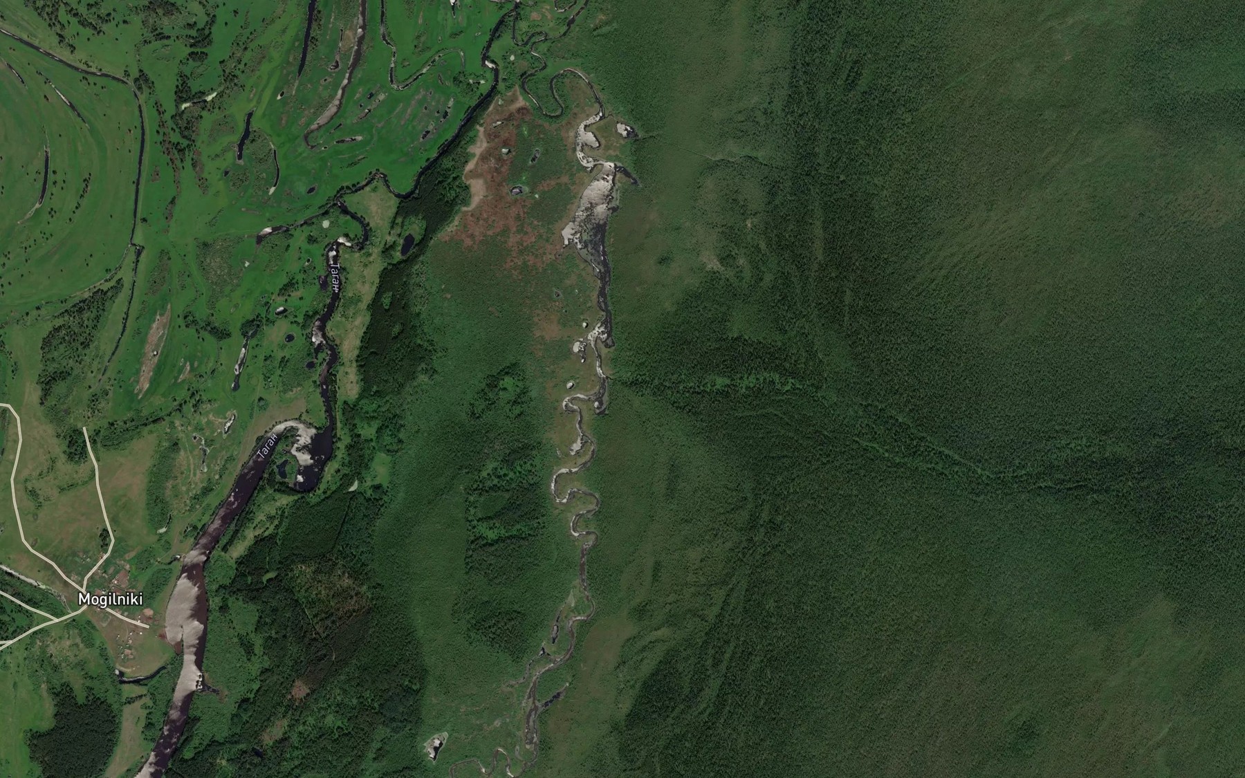 Satellite map of the Berezovaya