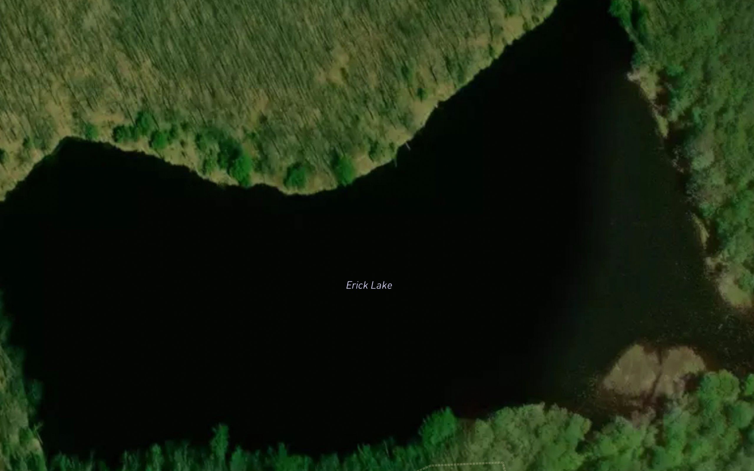 Erick Lake