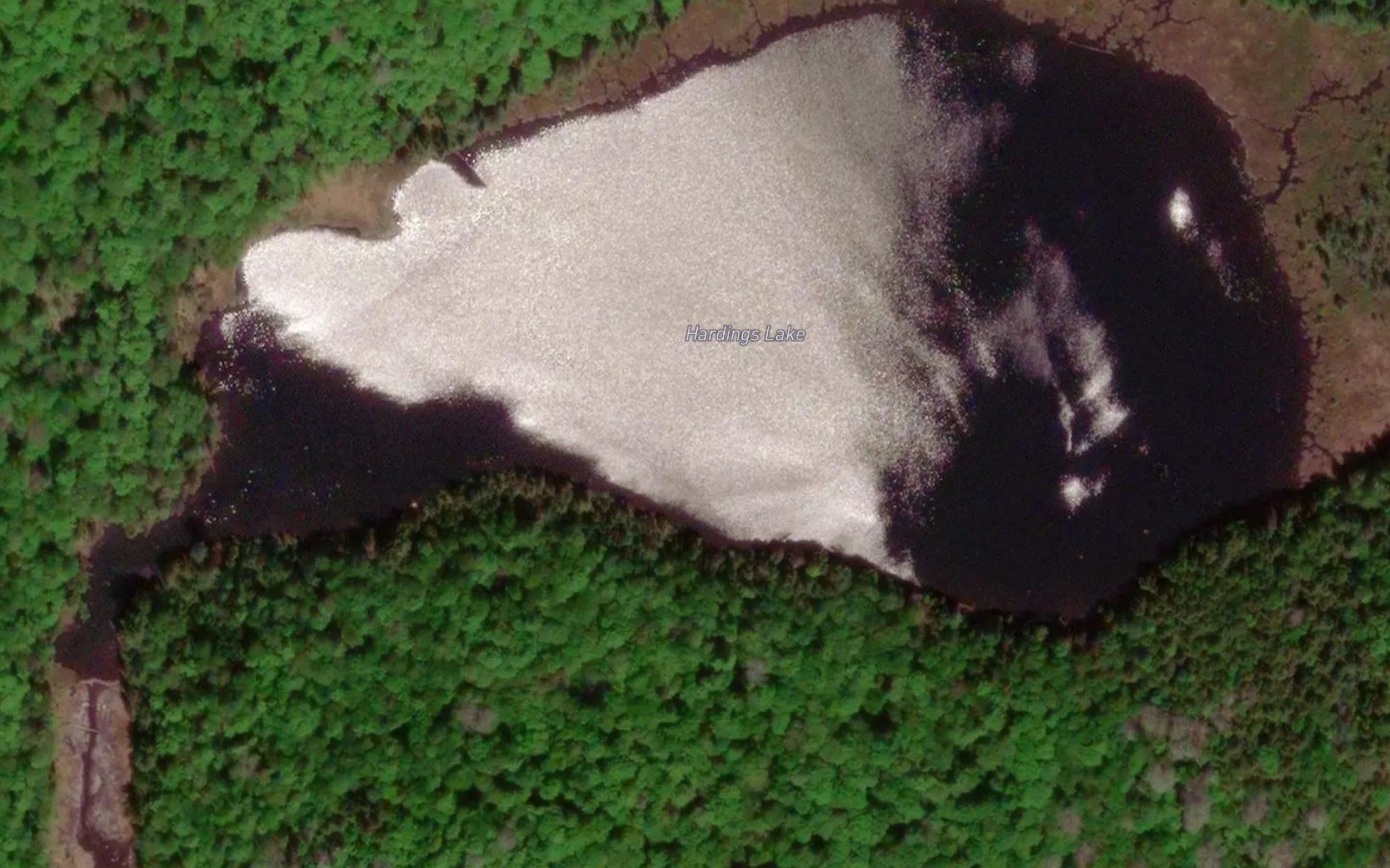 Hardings Lake