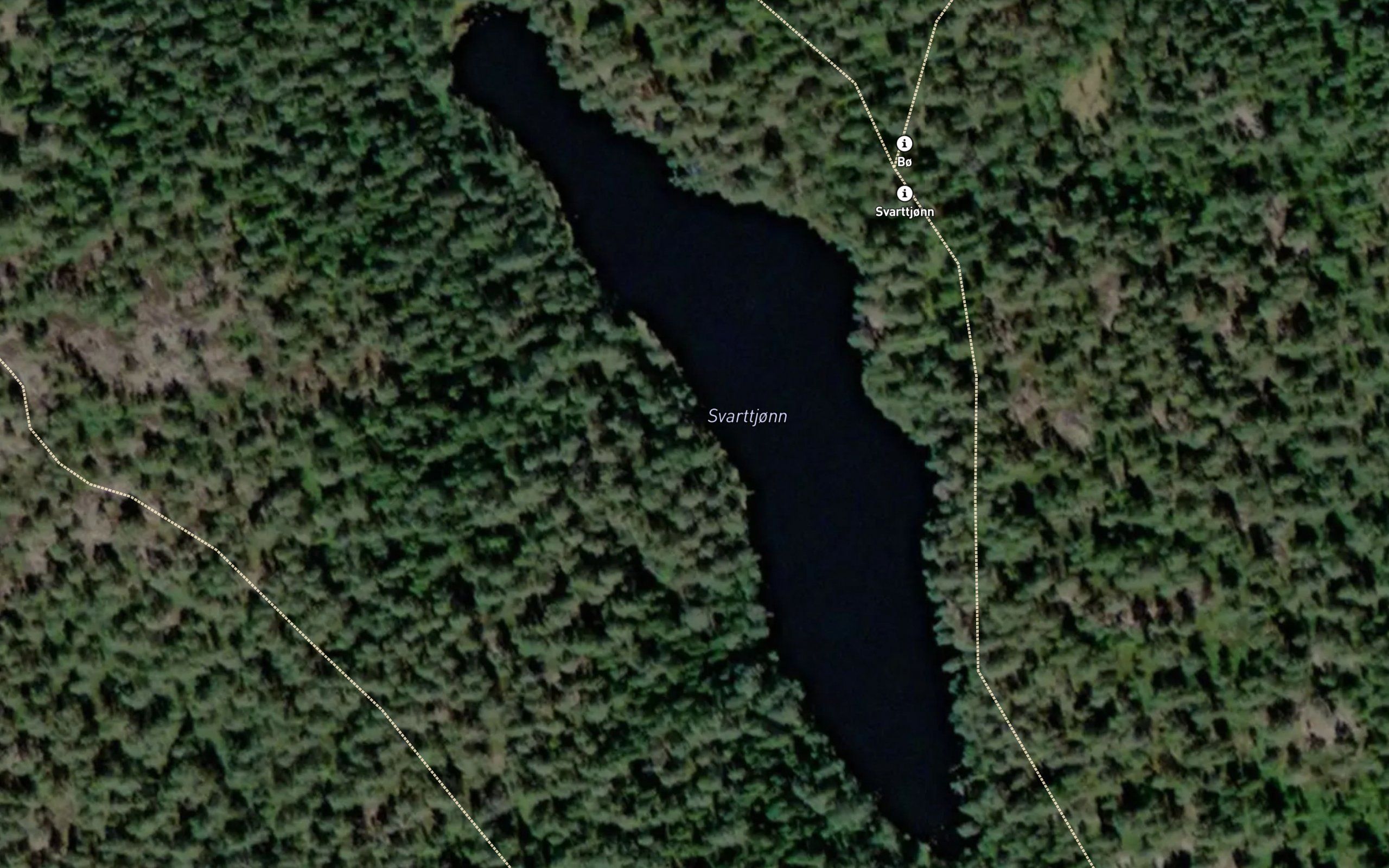 Svarttjorn