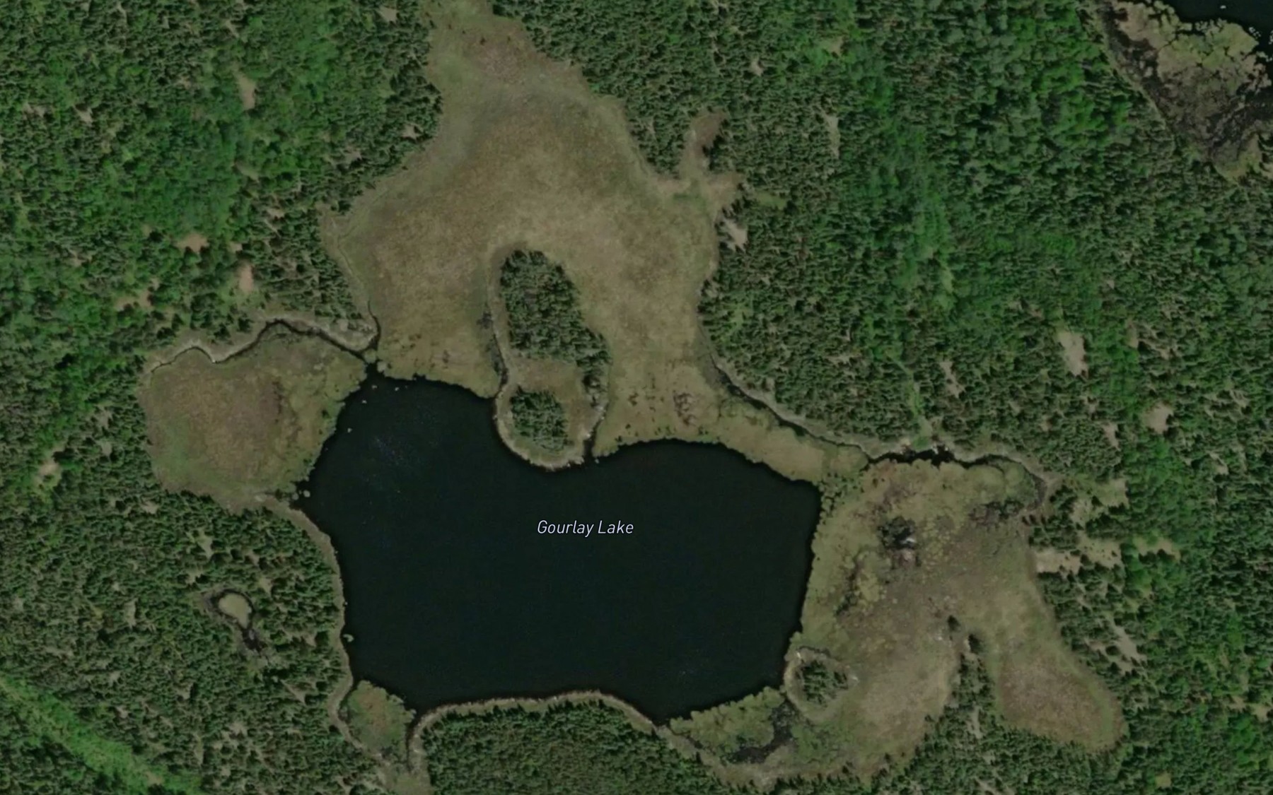 Satellite map of the Gourlay Lake