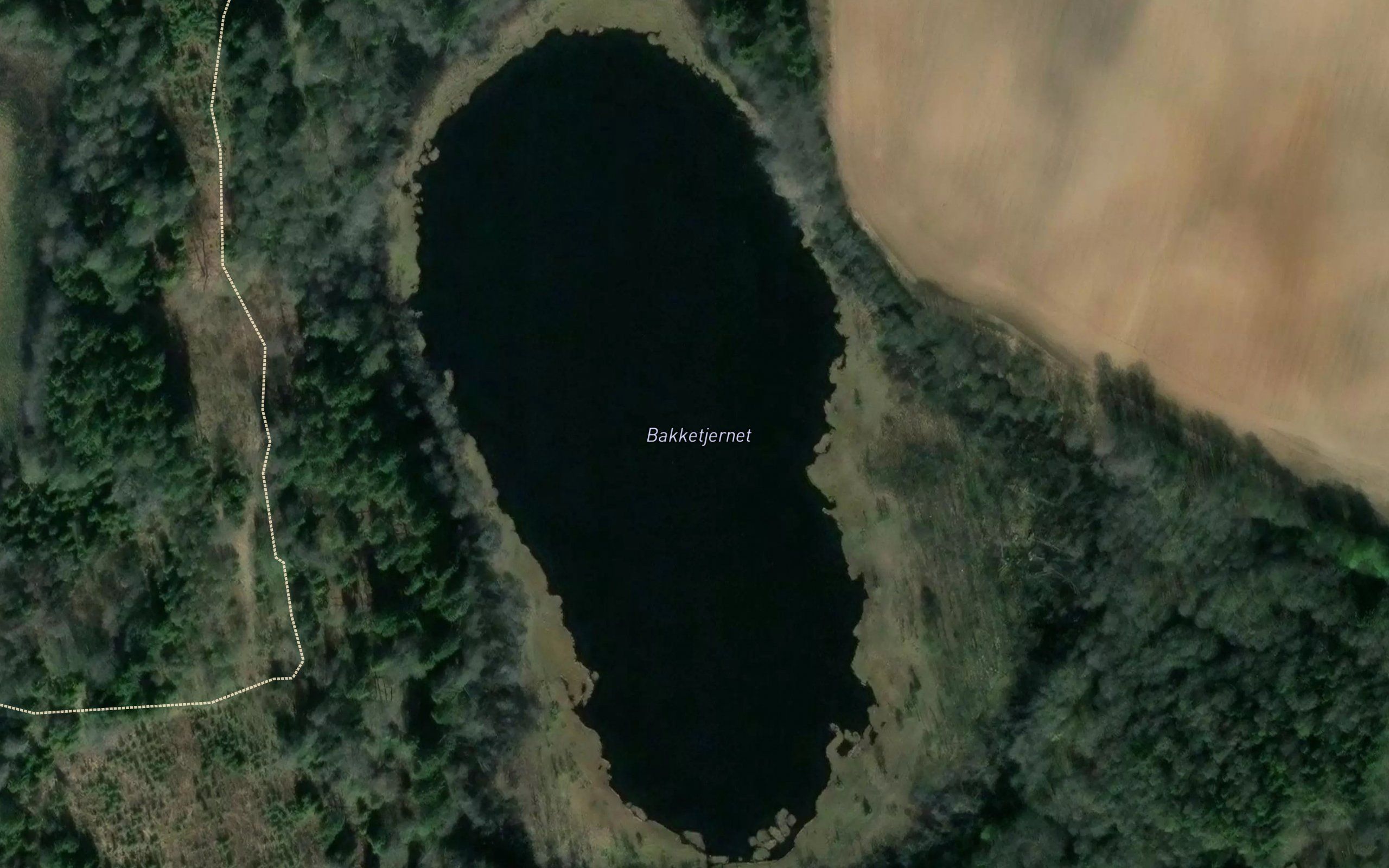 Bakketjernet