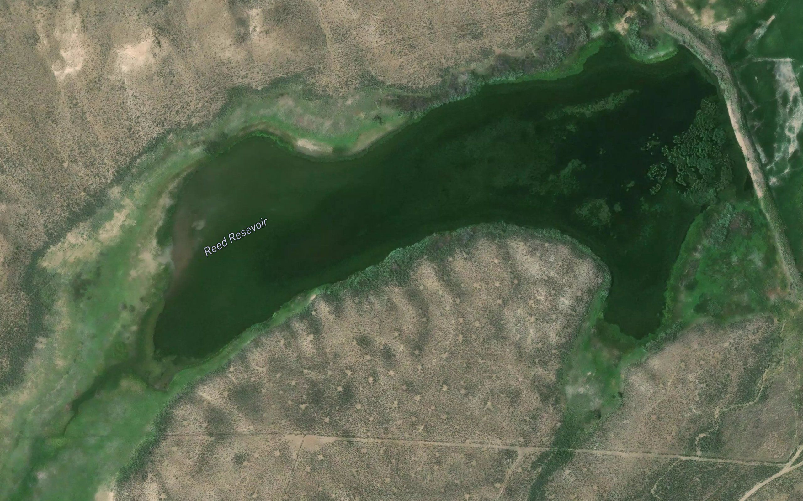 Reed Reservoir