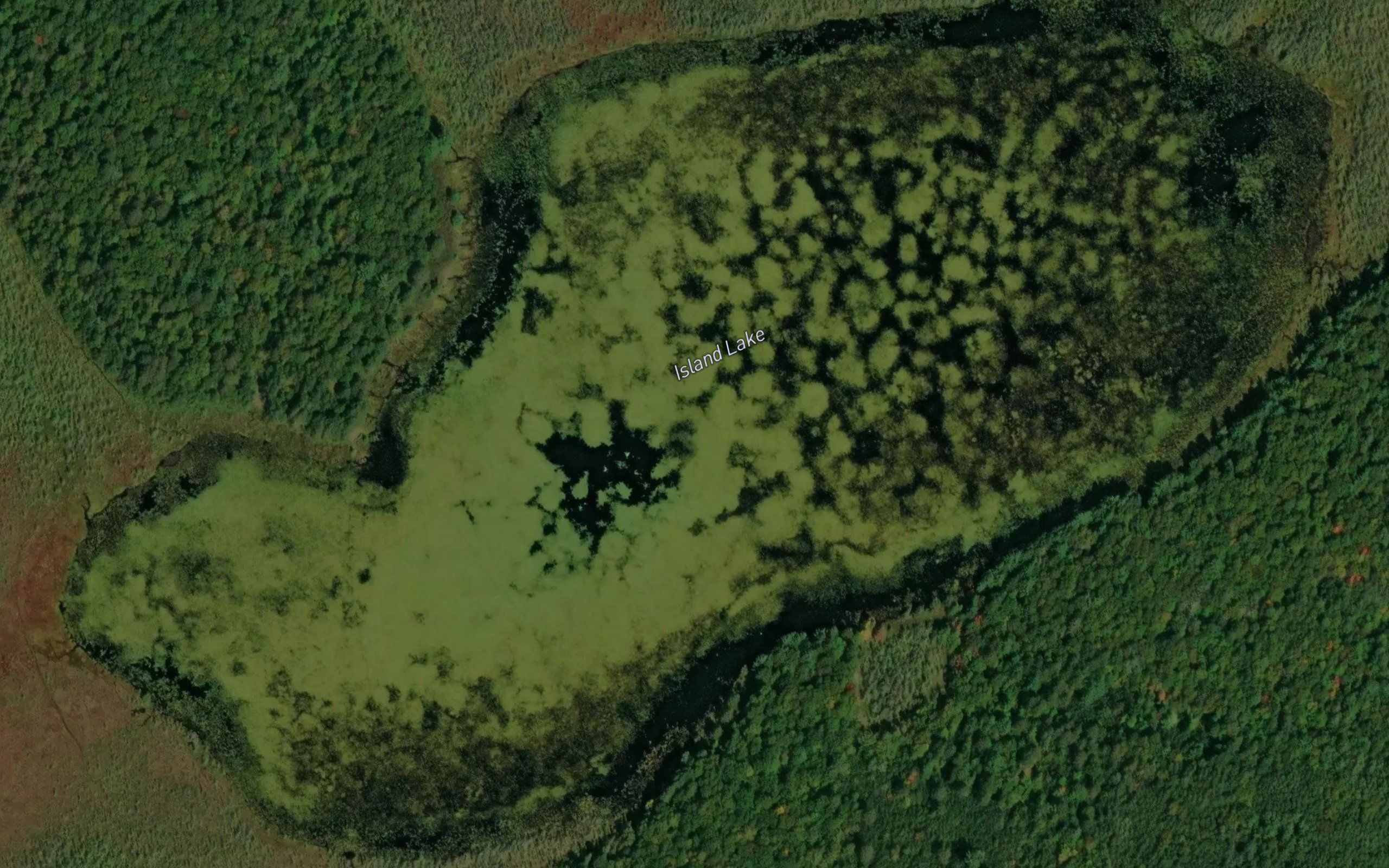 Island Lake