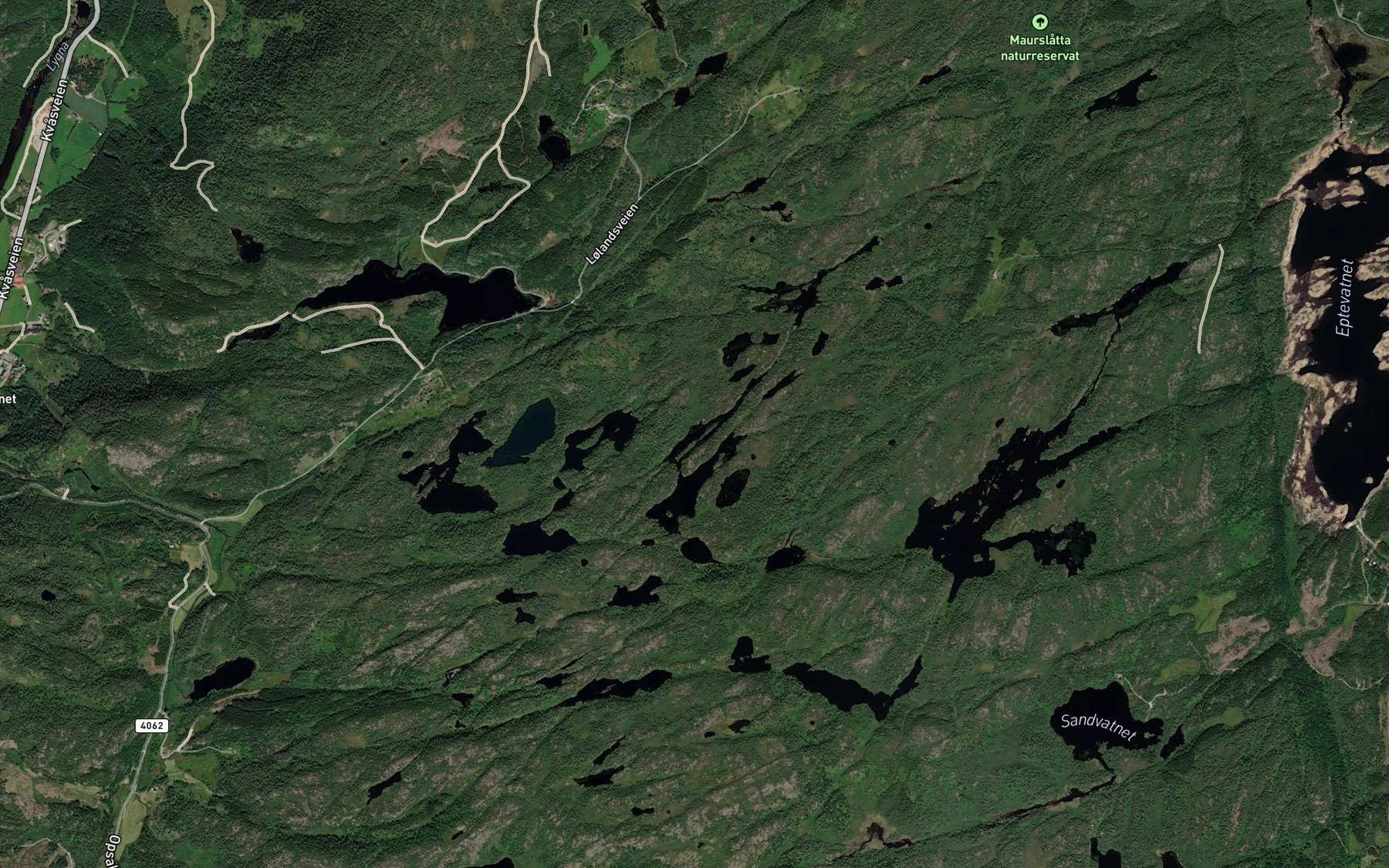 Satellite map of the Indre Dynjevann