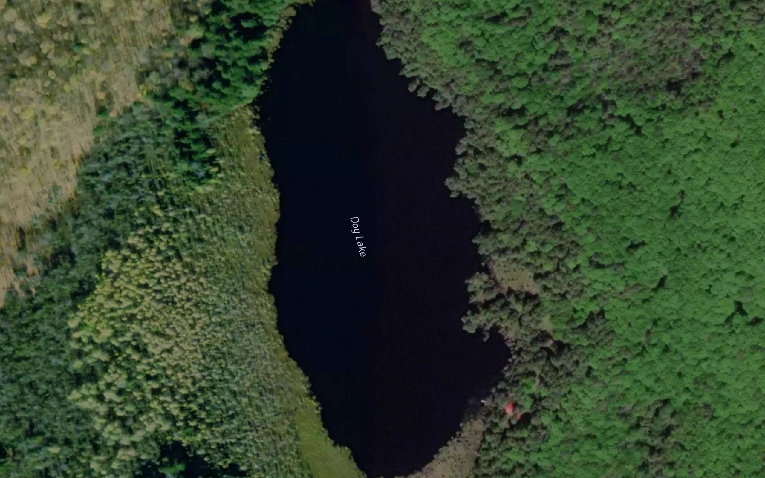 Dog Lake