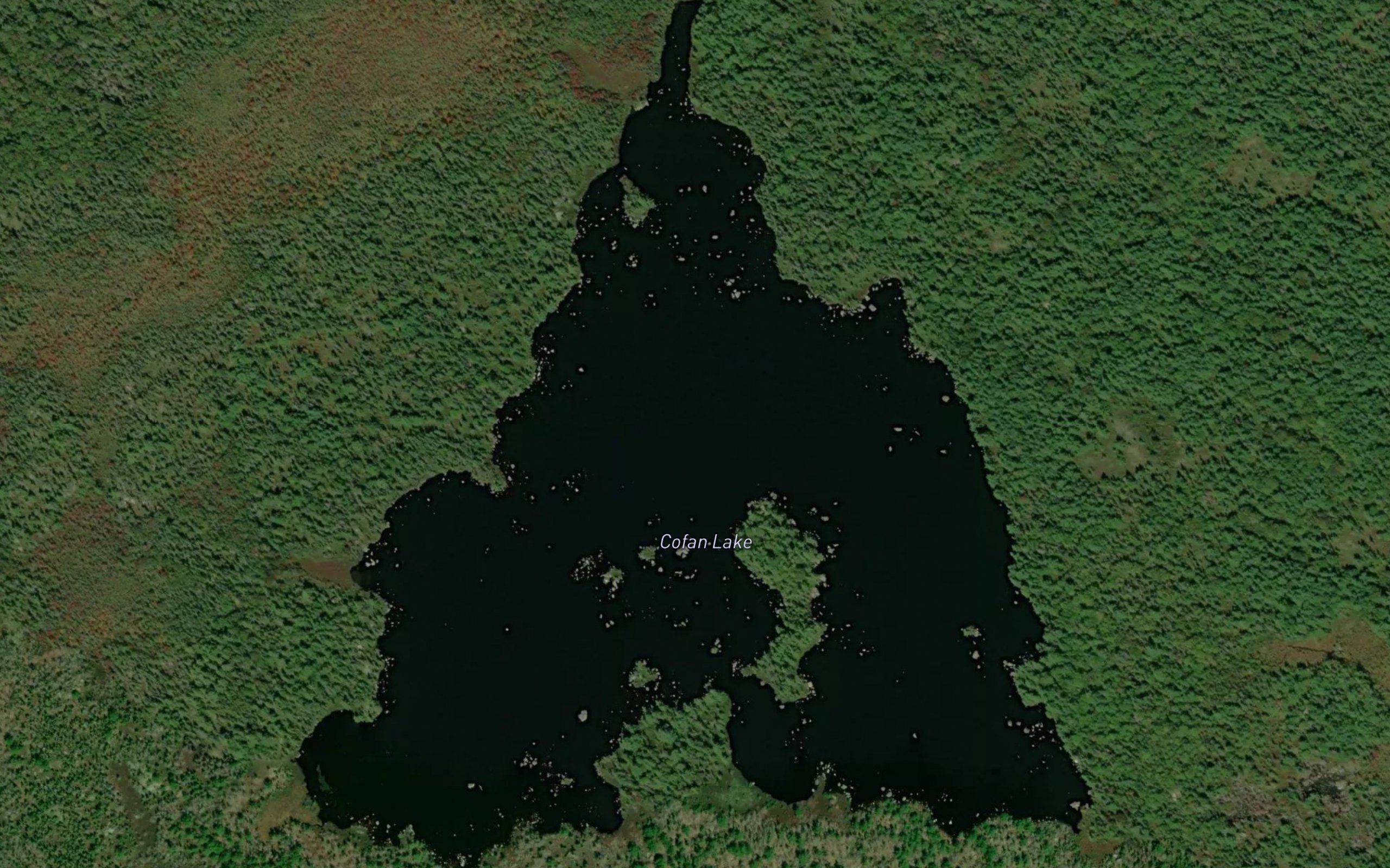 Cofan Lake