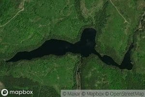 Viola Lake