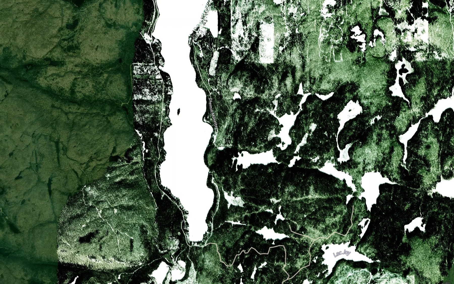 Satellite map of the Crique a la Carpe