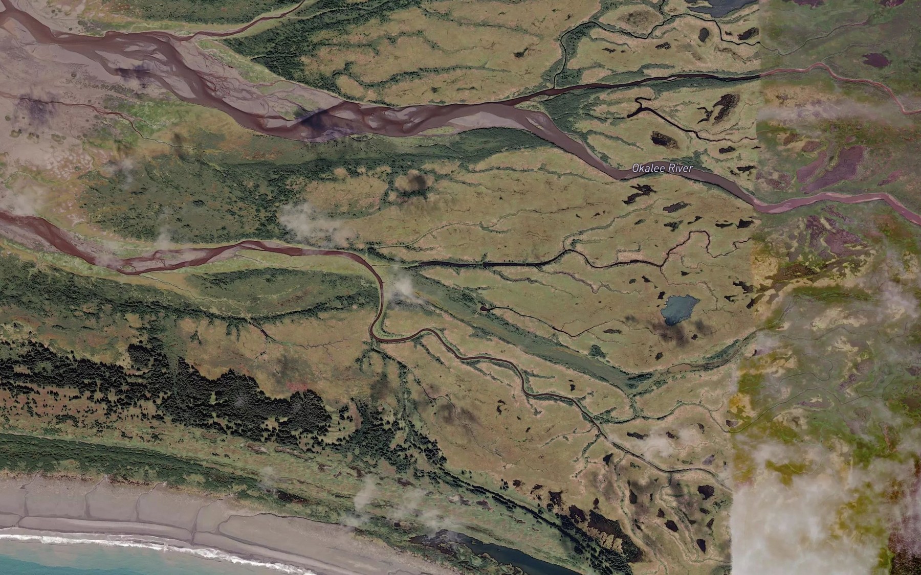 Satellite map of the Kwinlatah Slough