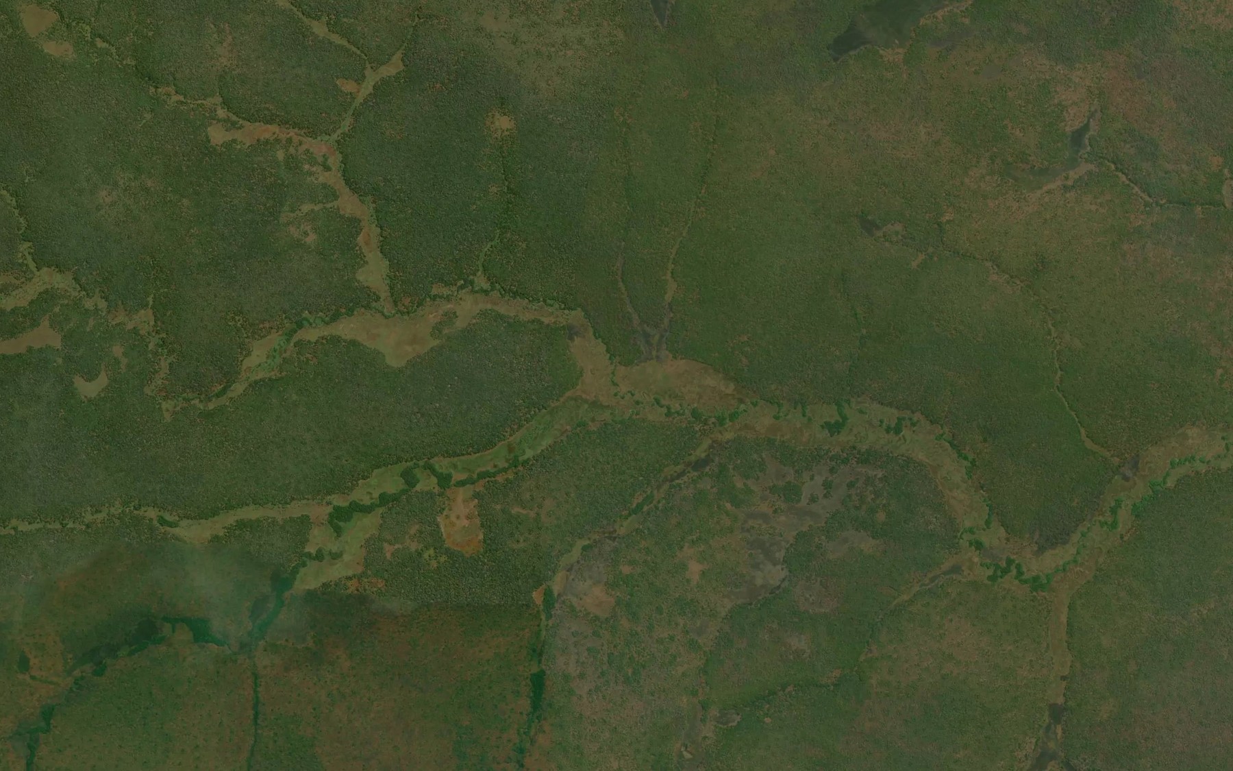 Satellite map of the Musinga