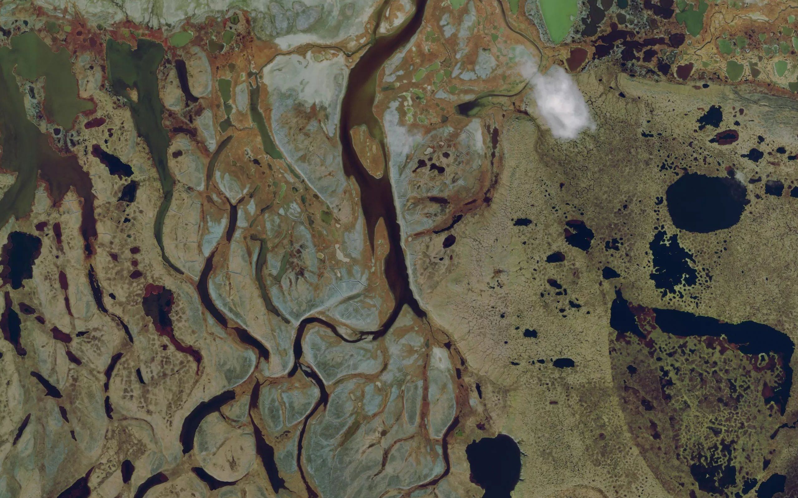 Zhemchuzhnyy