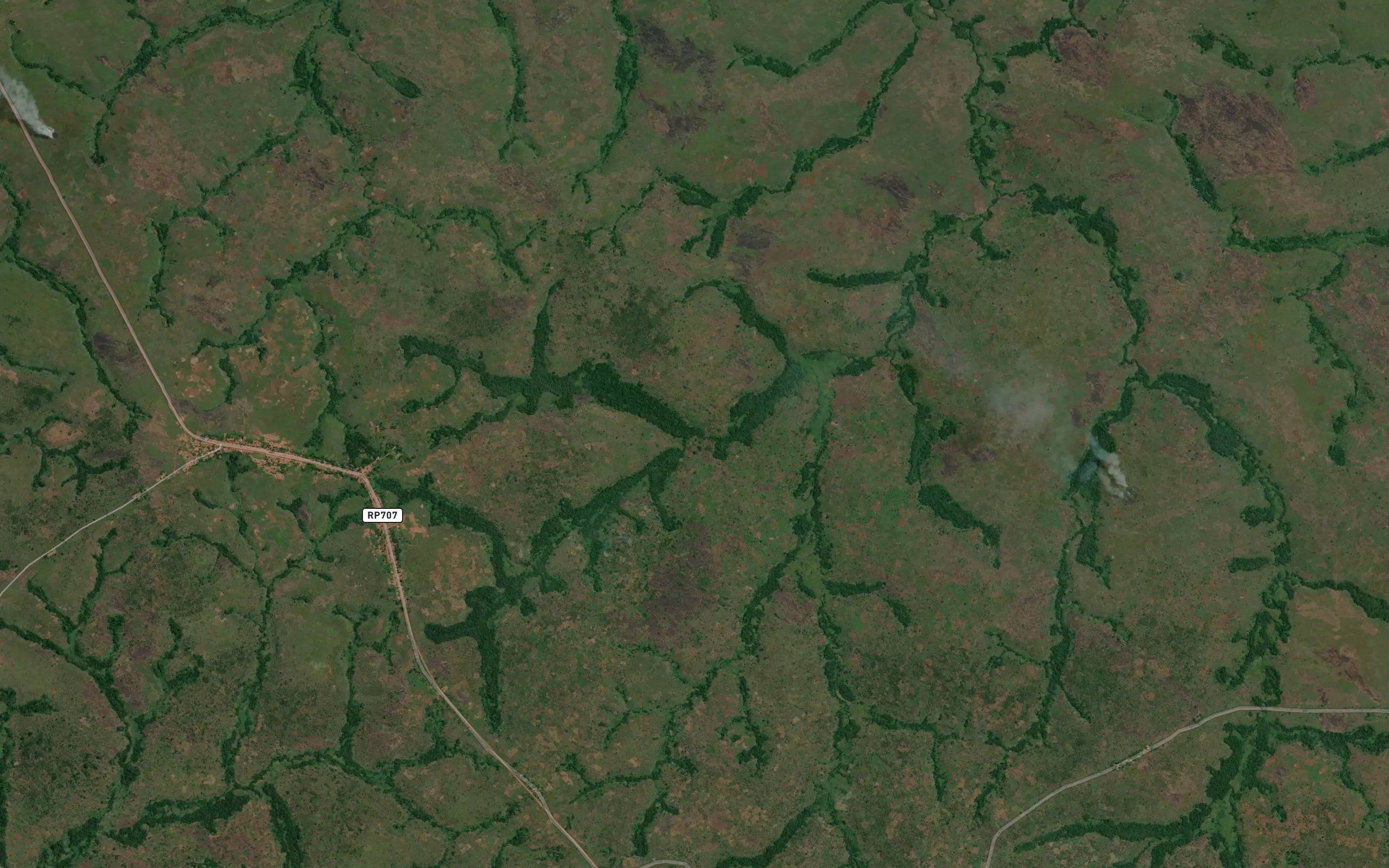 Kamutola