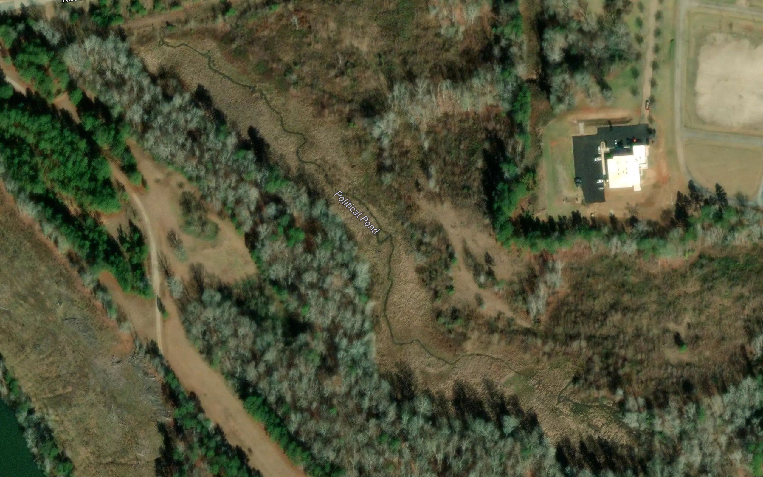 Political Pond