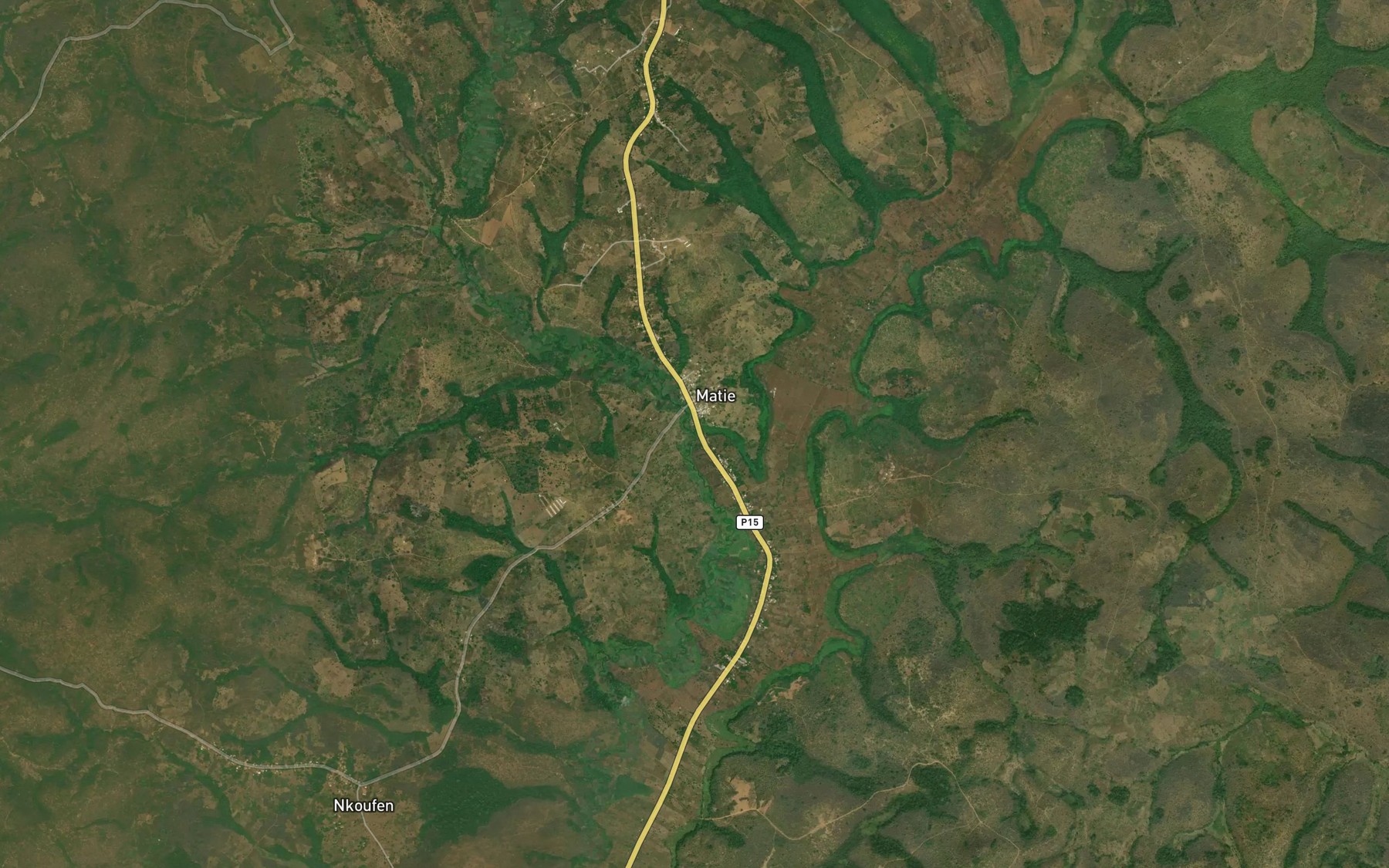 Satellite map of the Tam