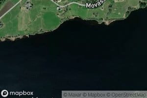 Movatnet