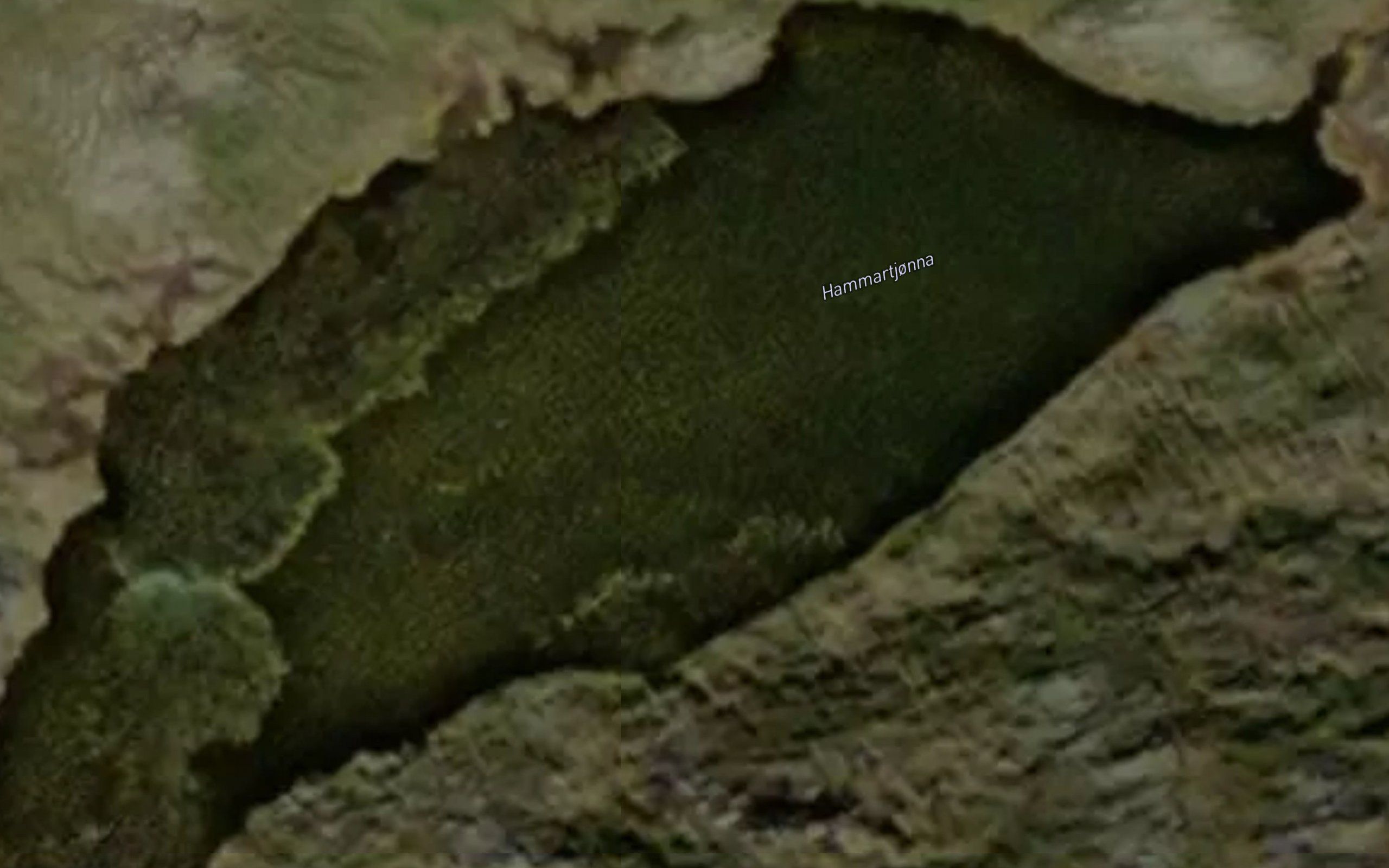 Hammartjorna