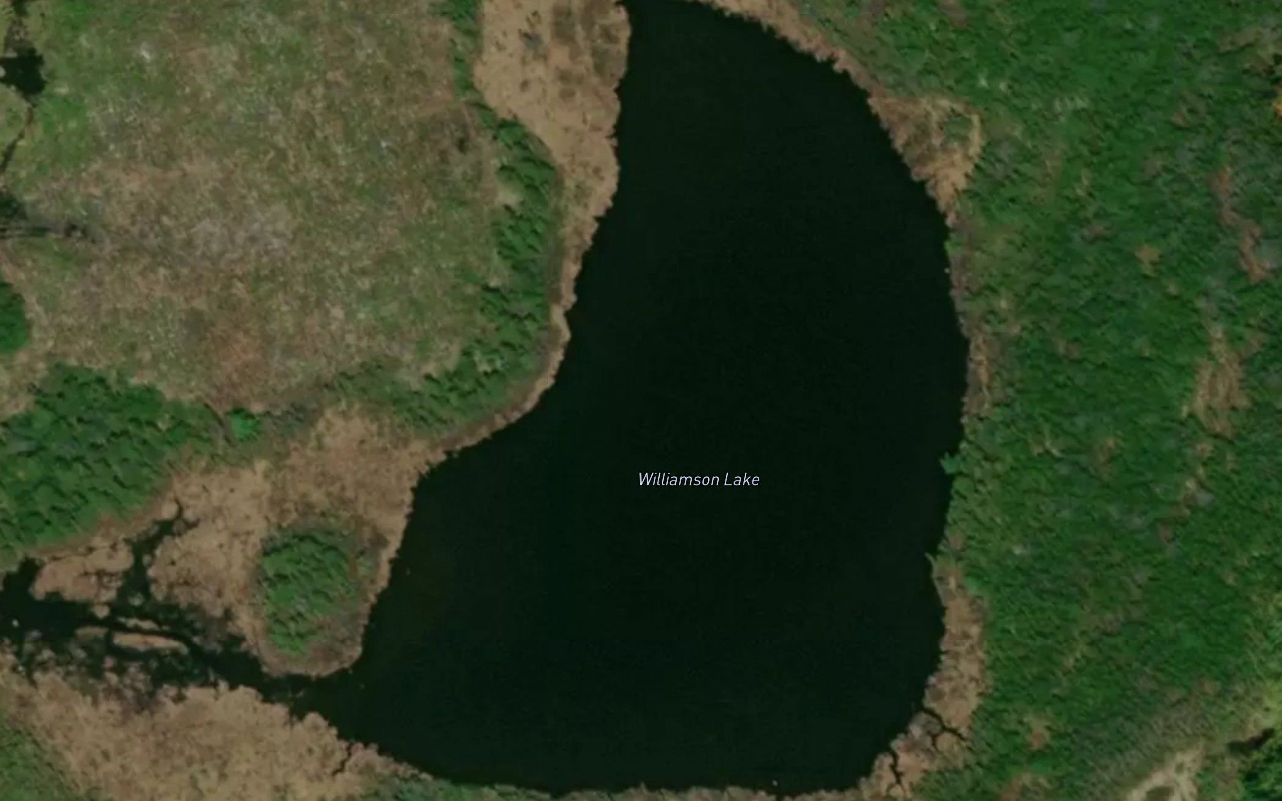 Williamson Lake