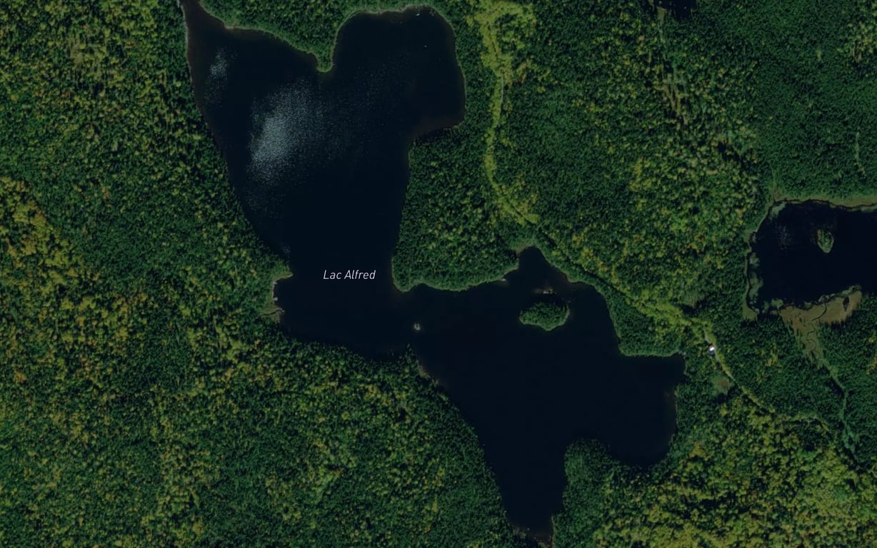 Lac Alfred Fishing, Abitibi-Témiscamingue | Fishbox