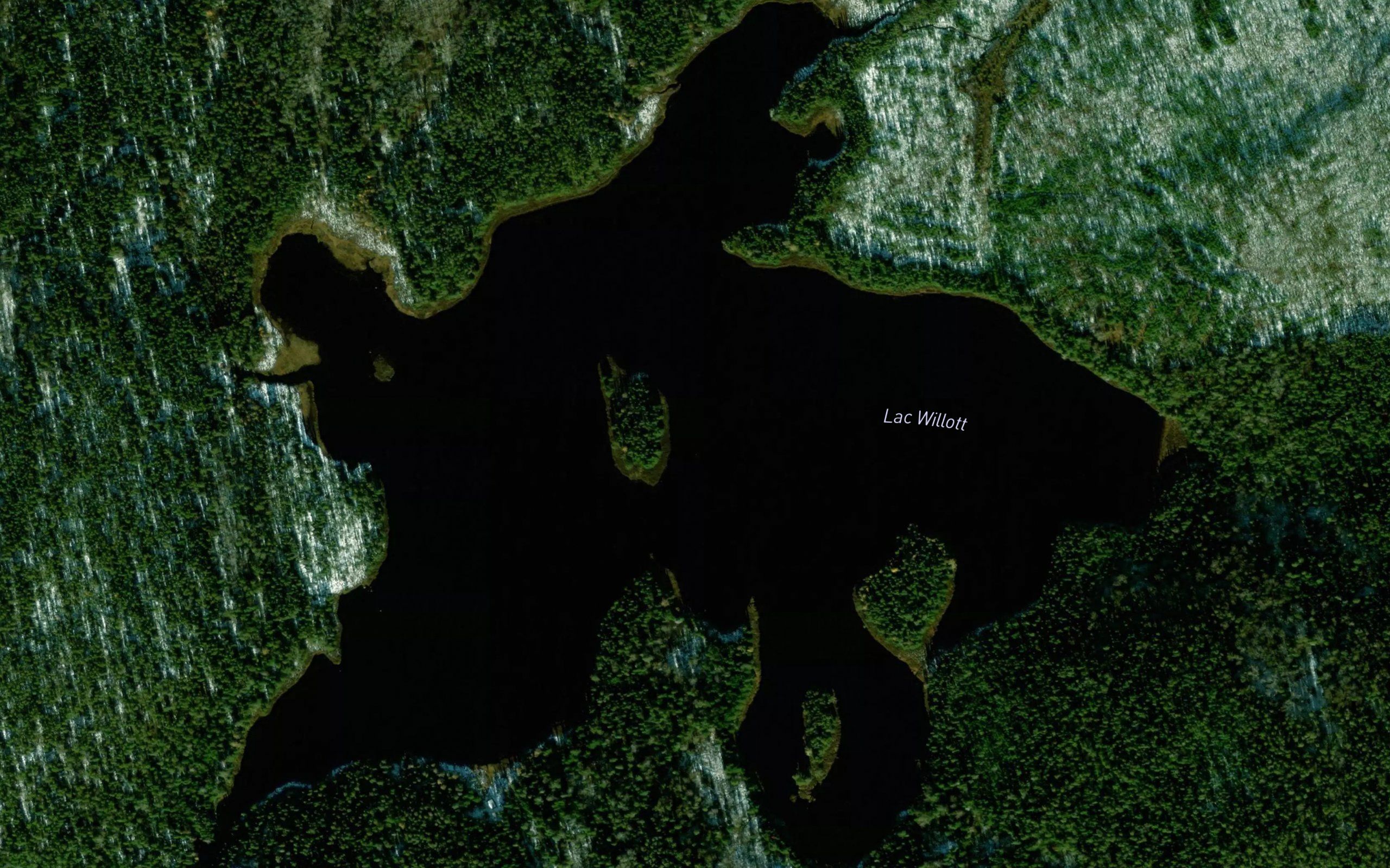 Lac Willott