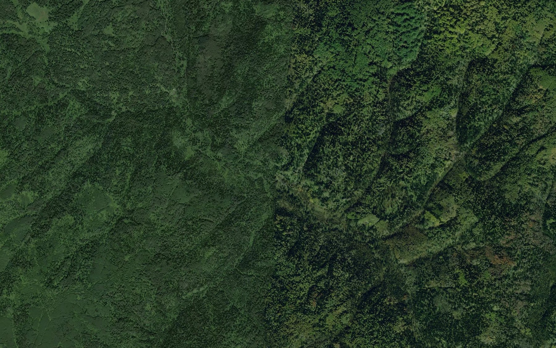 Satellite map of the Berezovaya