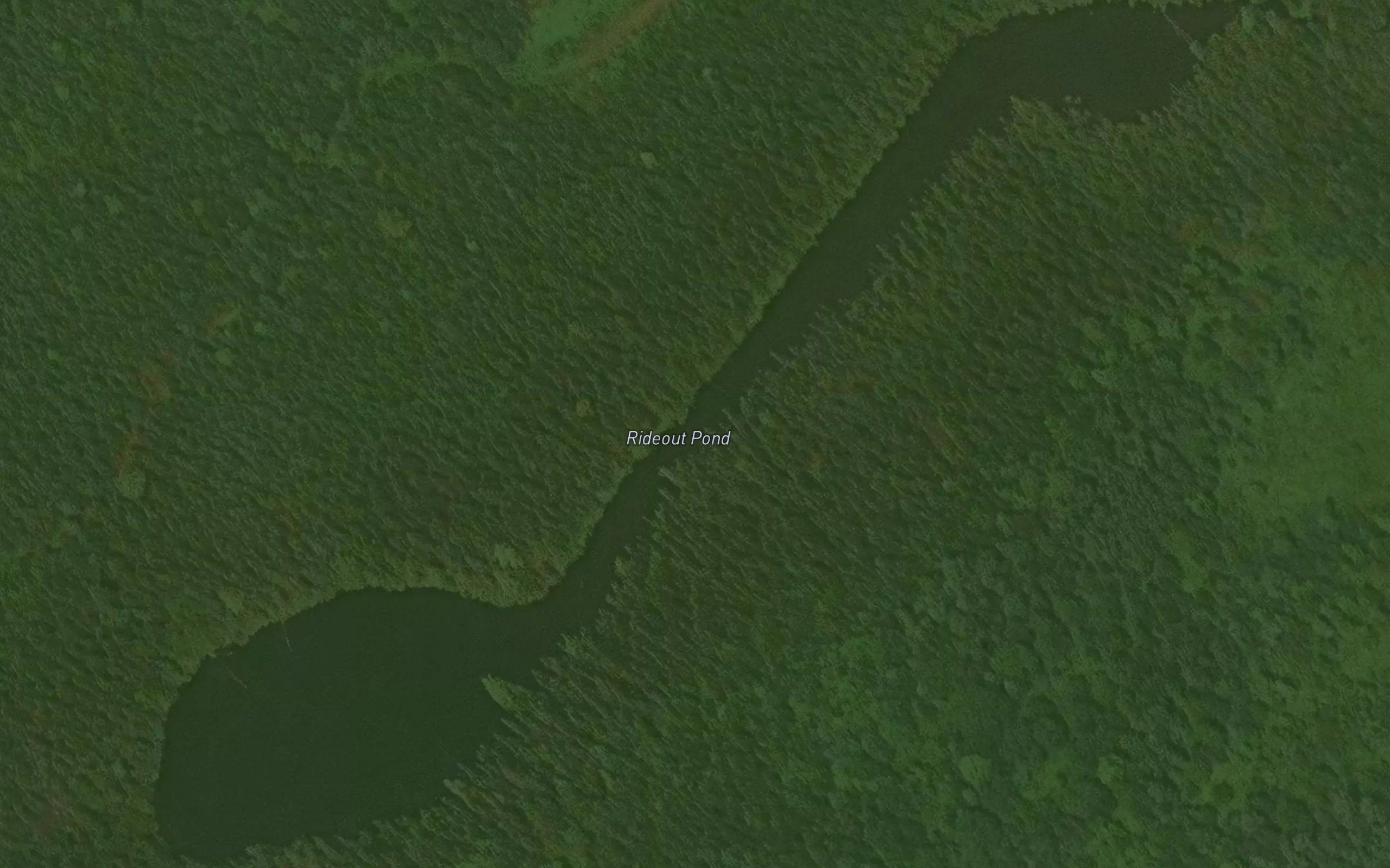 Rideout Pond