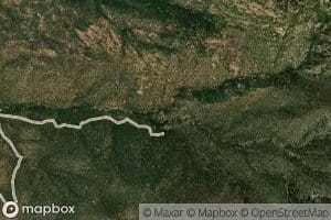 Yellow Flower Spring