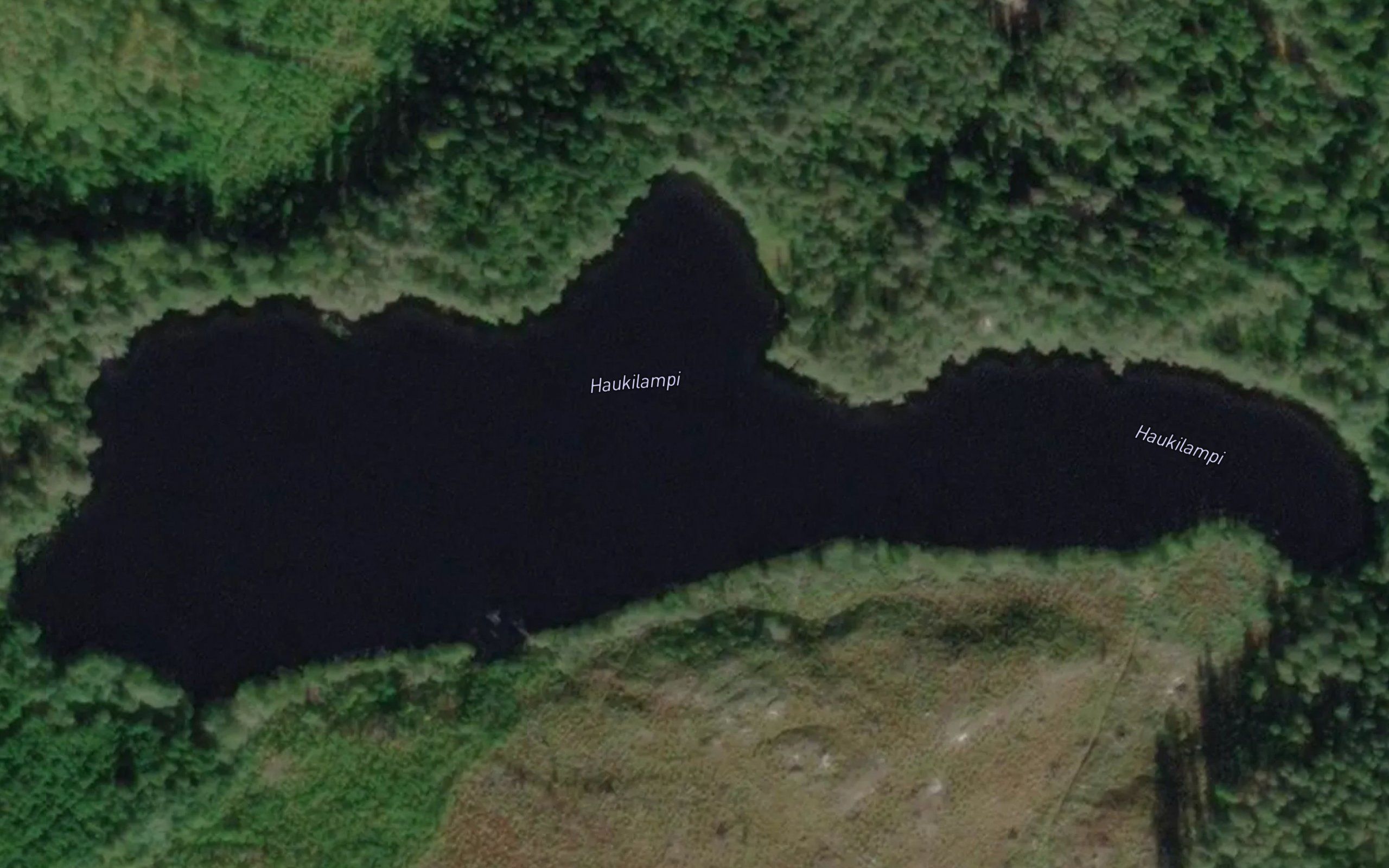 Haukilampi