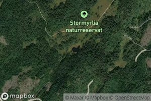 Nordmyrtjenn