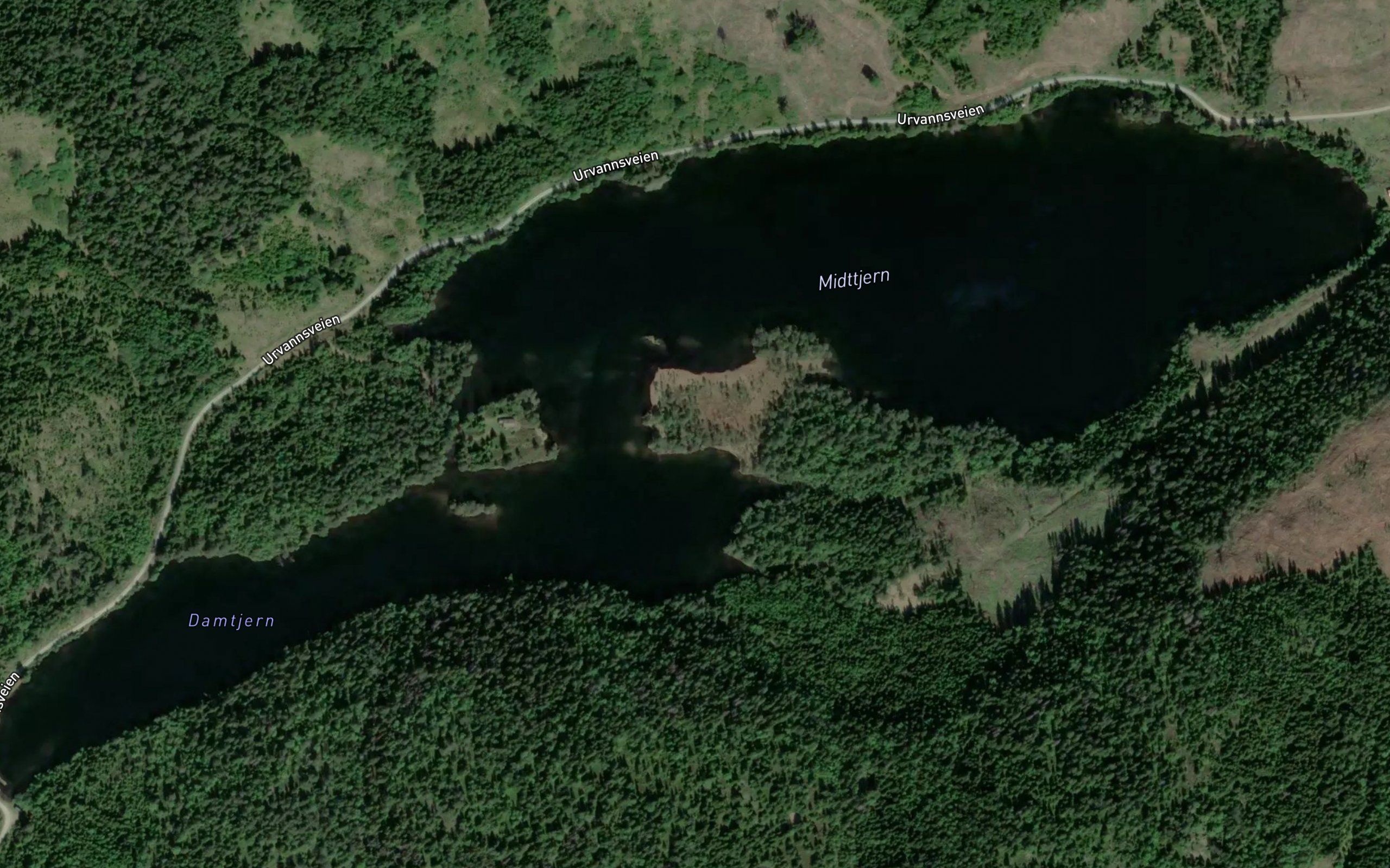 Midttjern